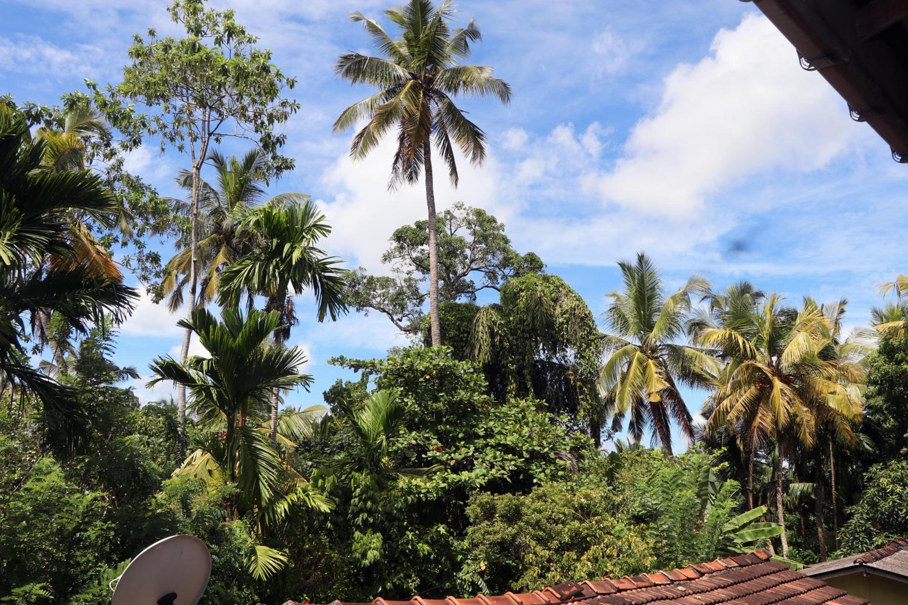 Rubi Family Apartment view 4