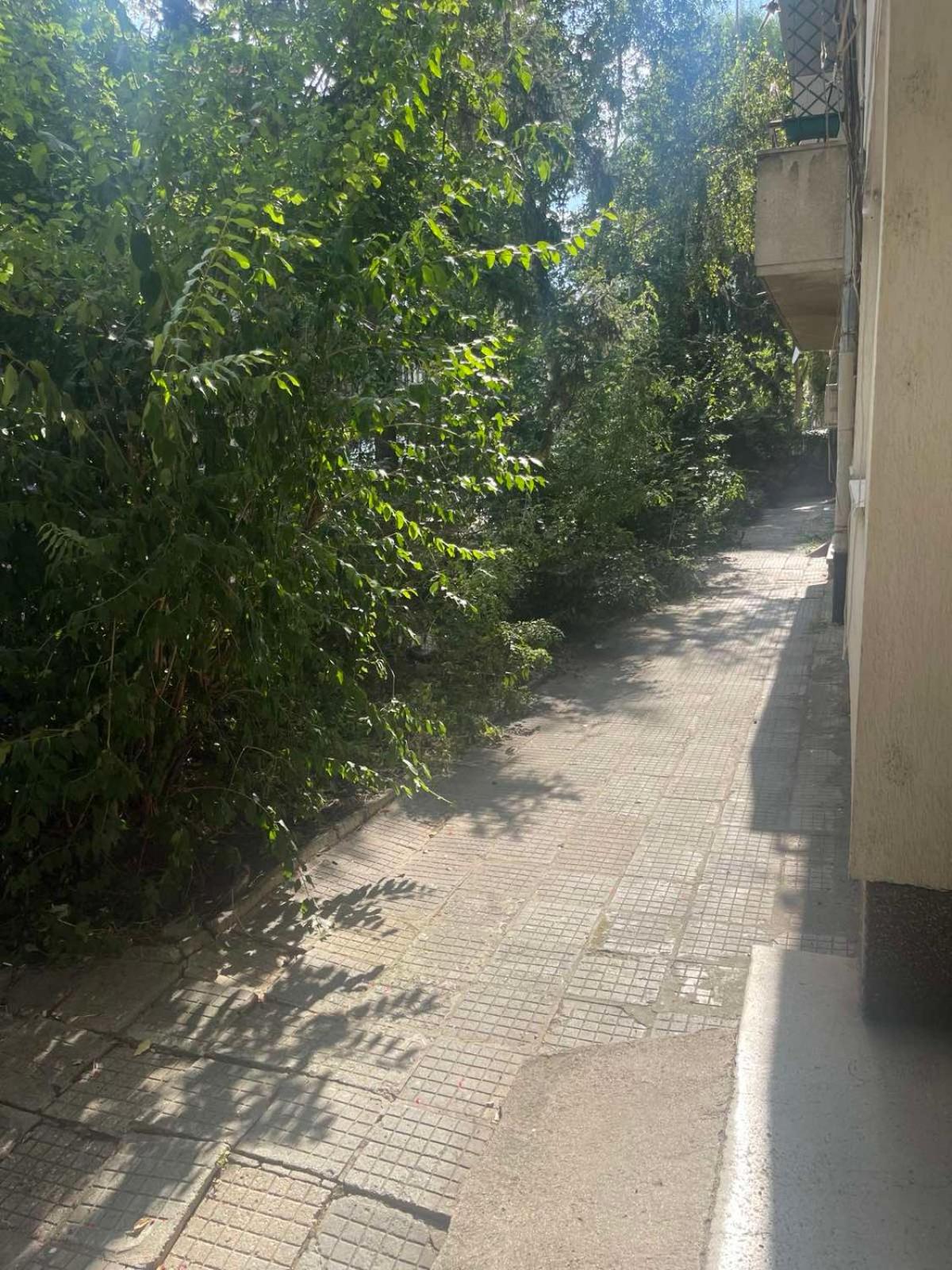 Our Place