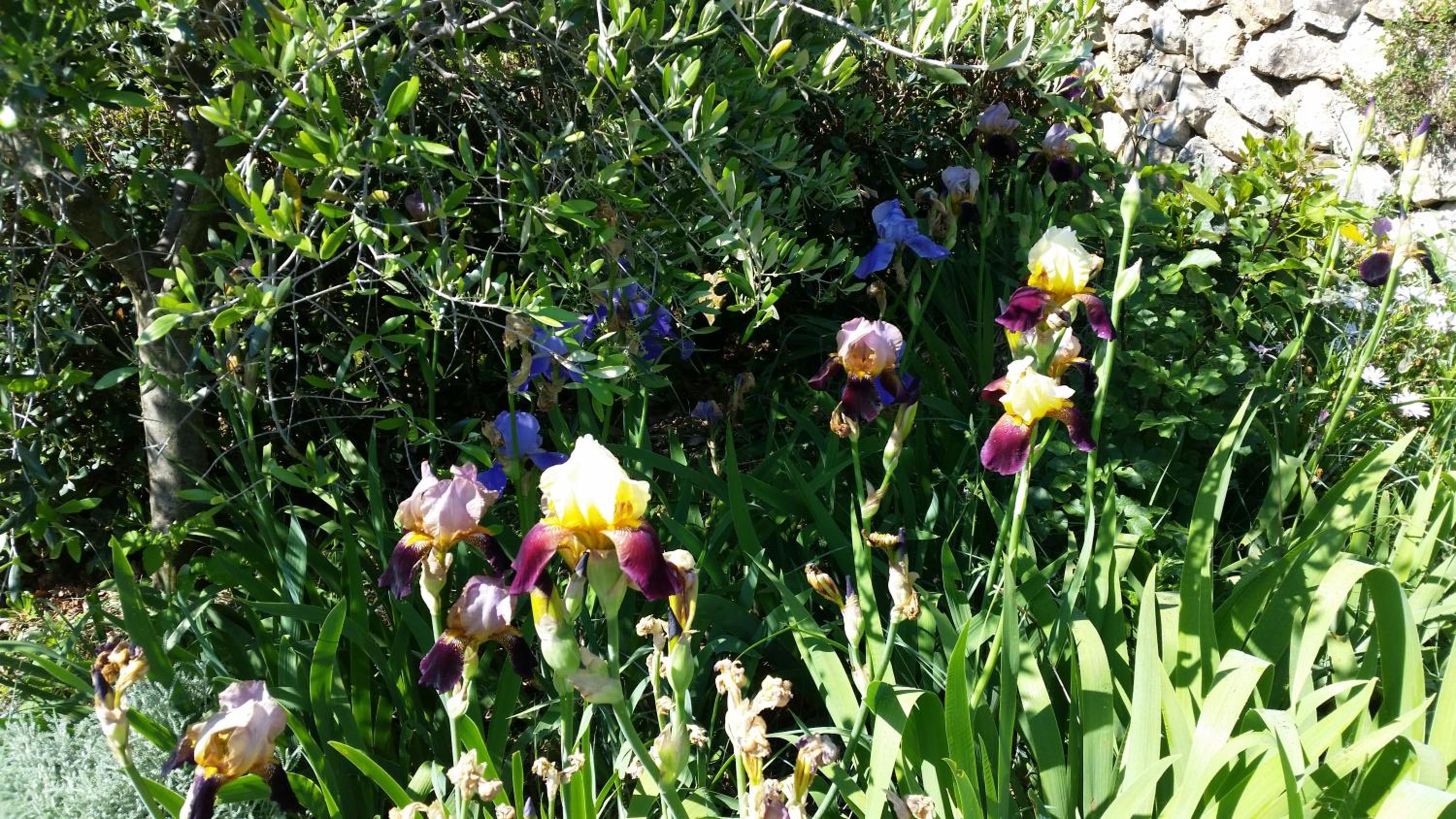 La Bastide des Pins, photo 23