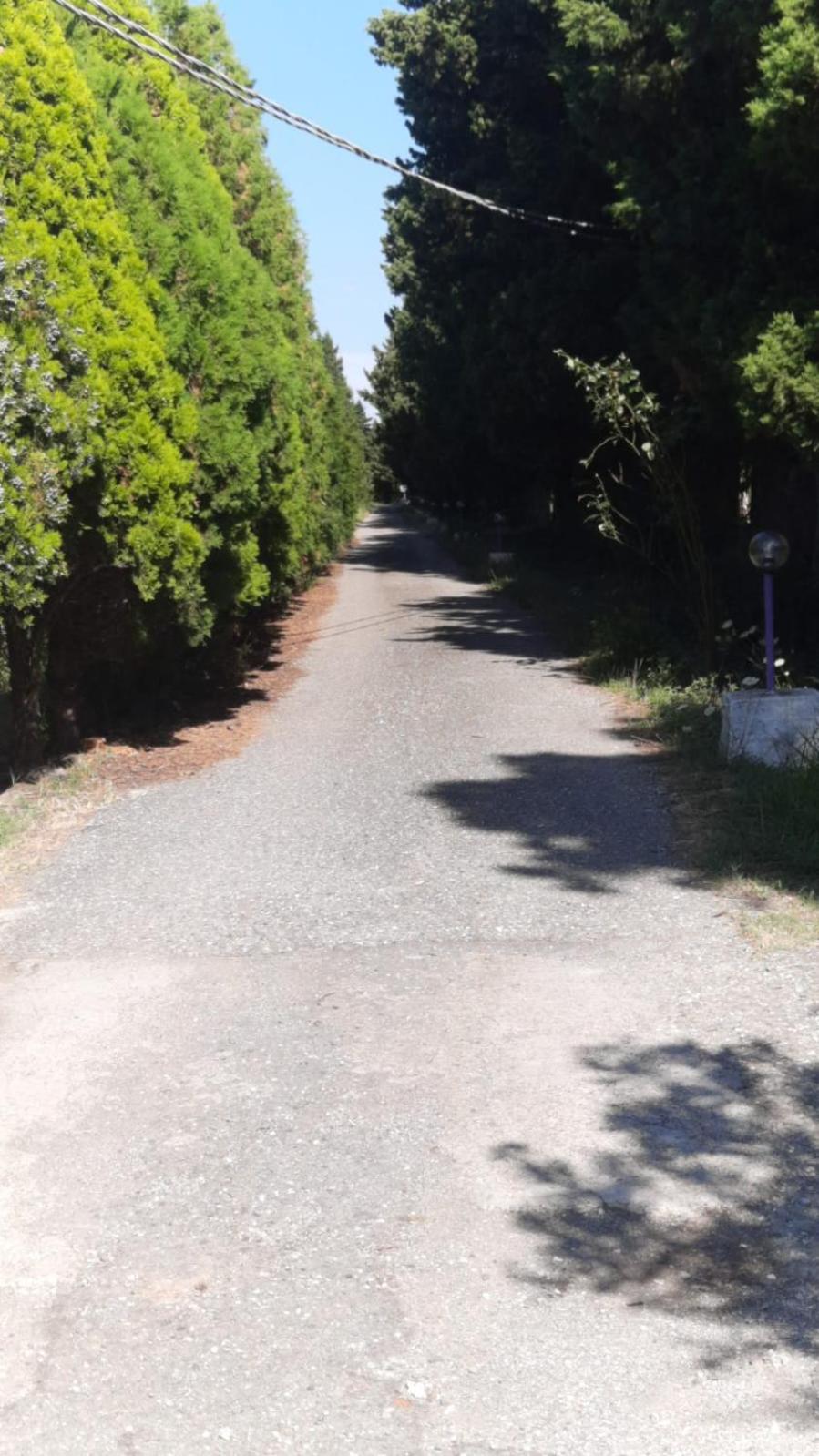 Casale Neocastrum