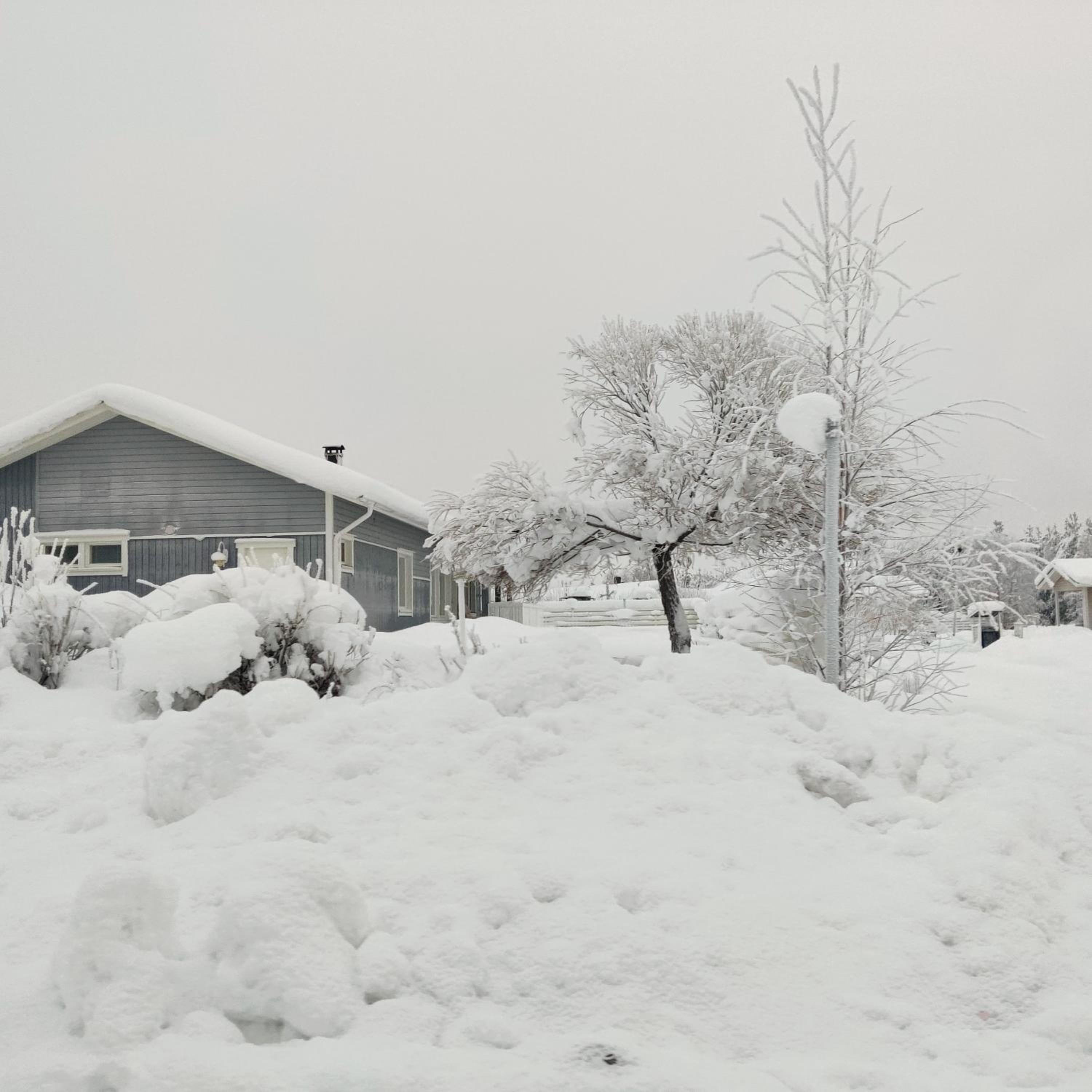 Arctic Harju House