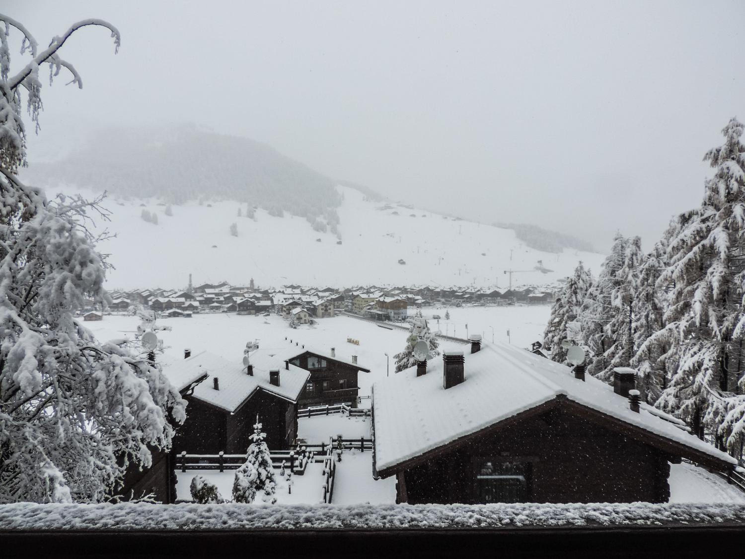 Silva: The Alpine Chalet view 2