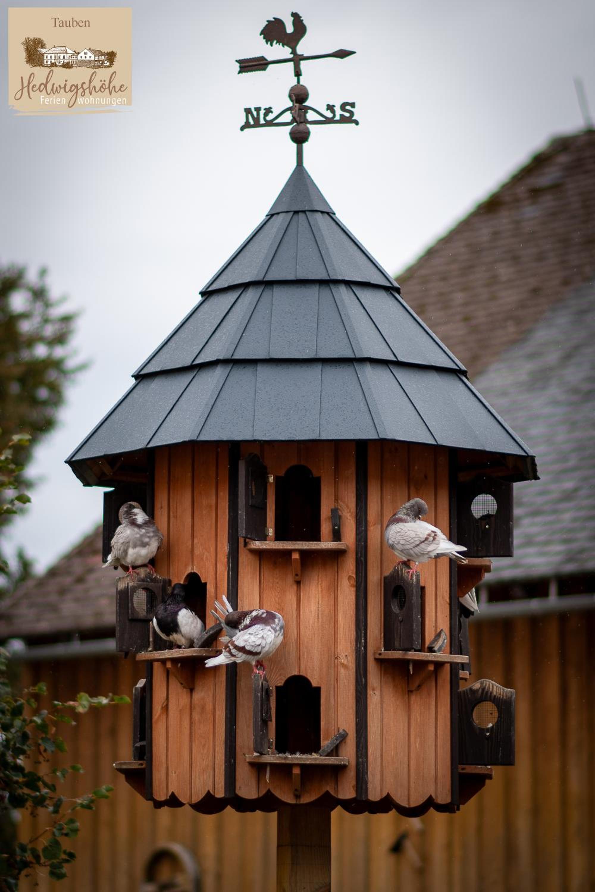 Urlaub auf dem Bauernhof Hedwigshöhe