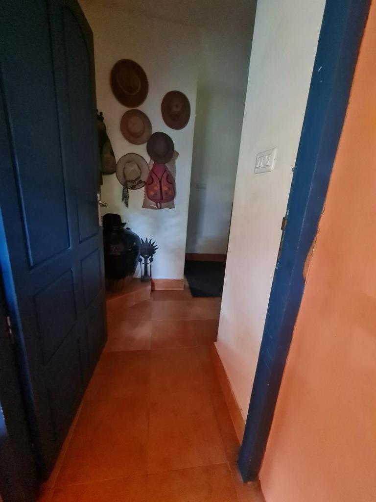 Photo 27
