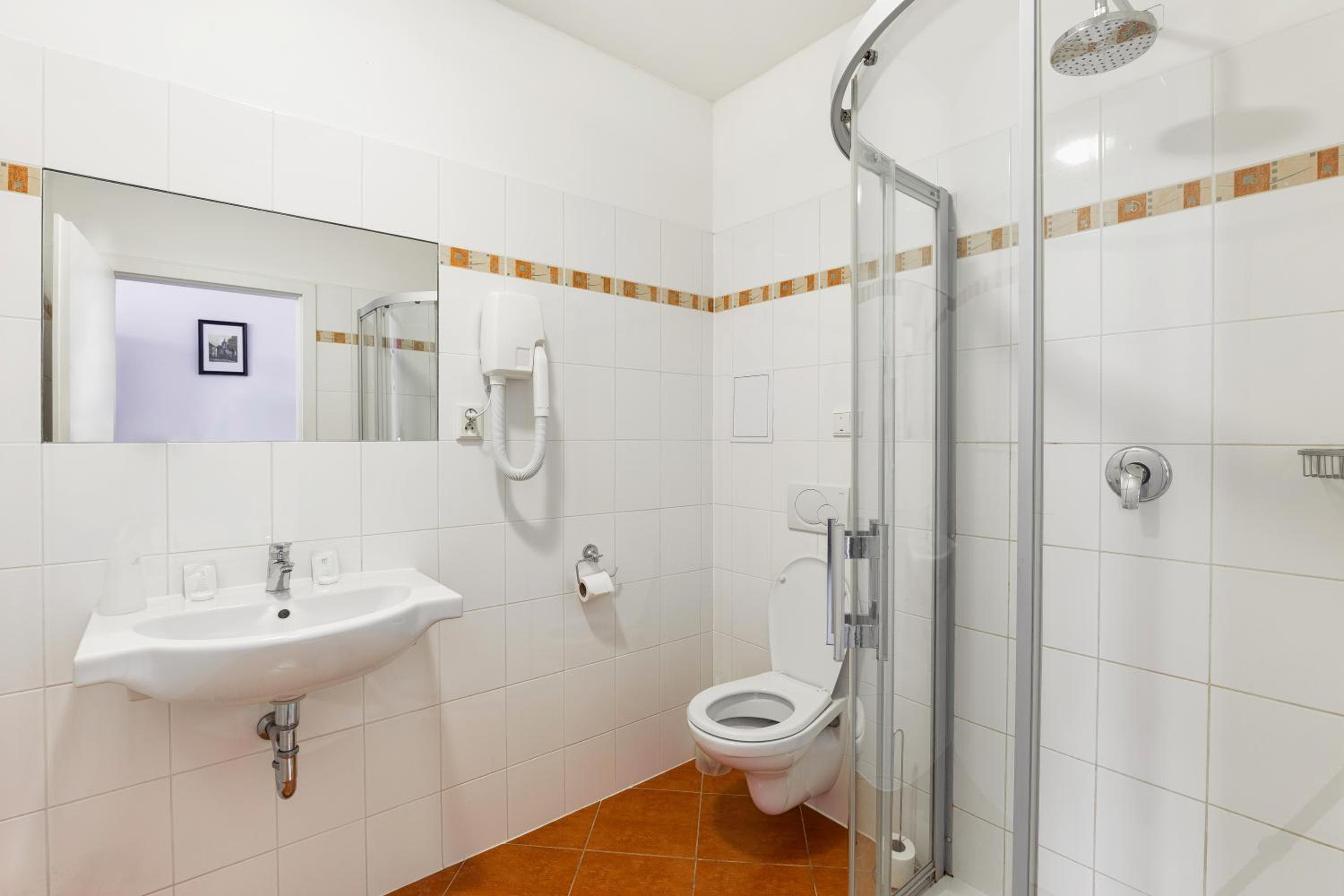 Hotel U Salzmannu - Property Image 9
