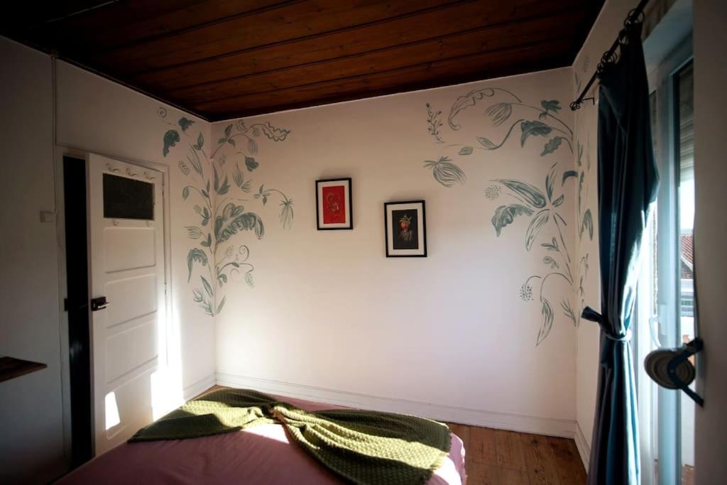 Casa Pássaro view 5