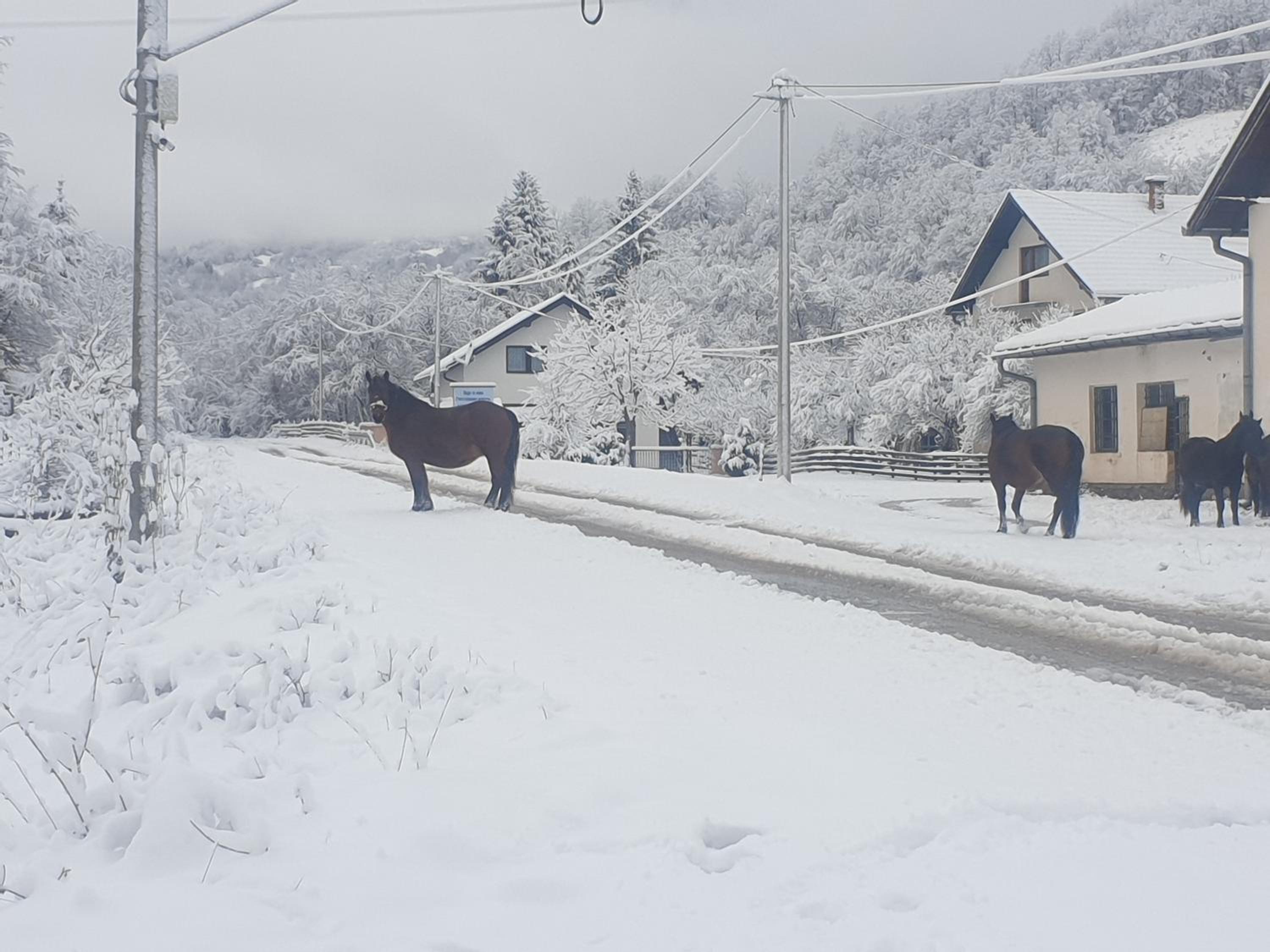 VIKENDICA NOLE Jahorina
