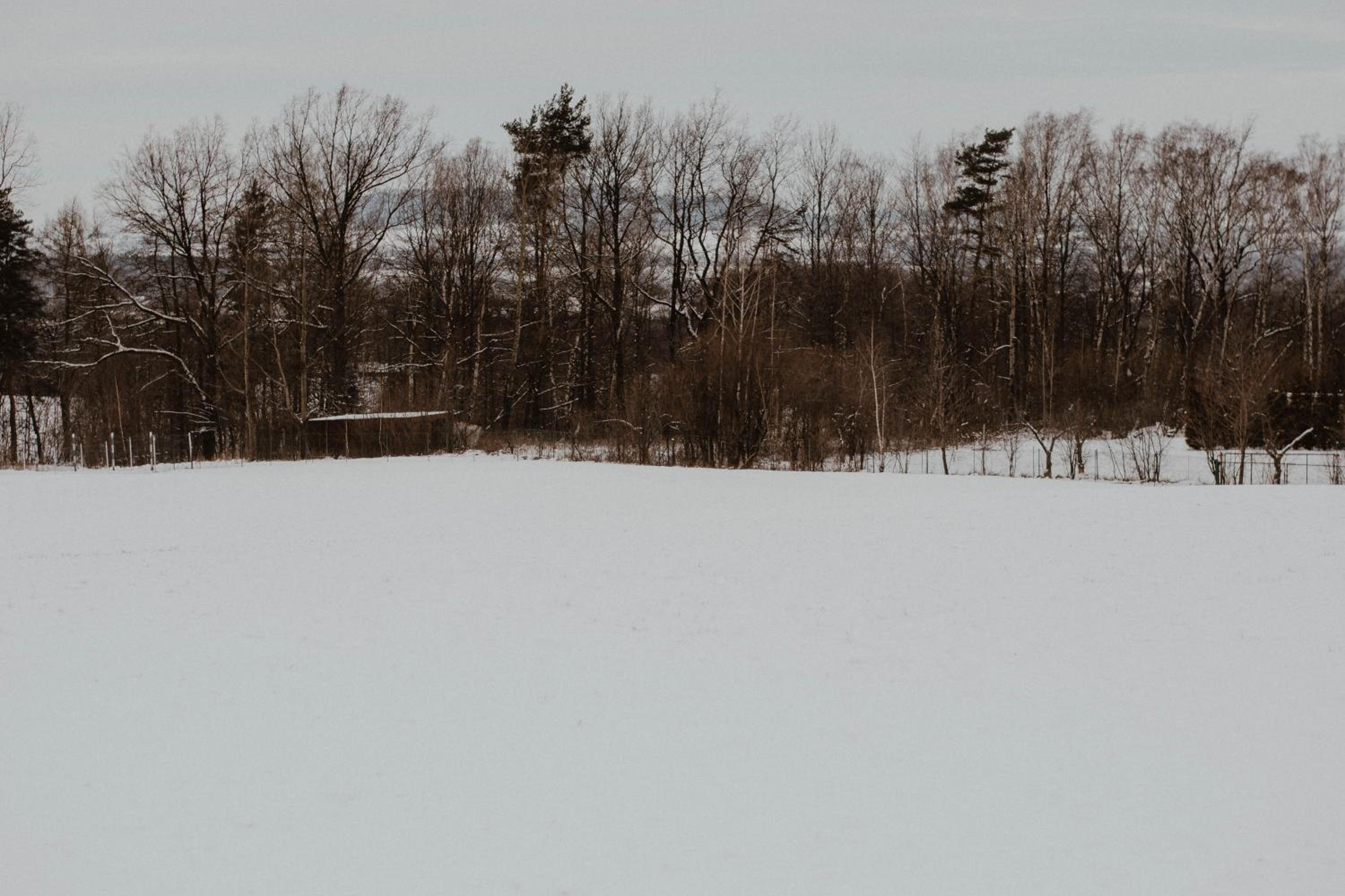 Photo 33