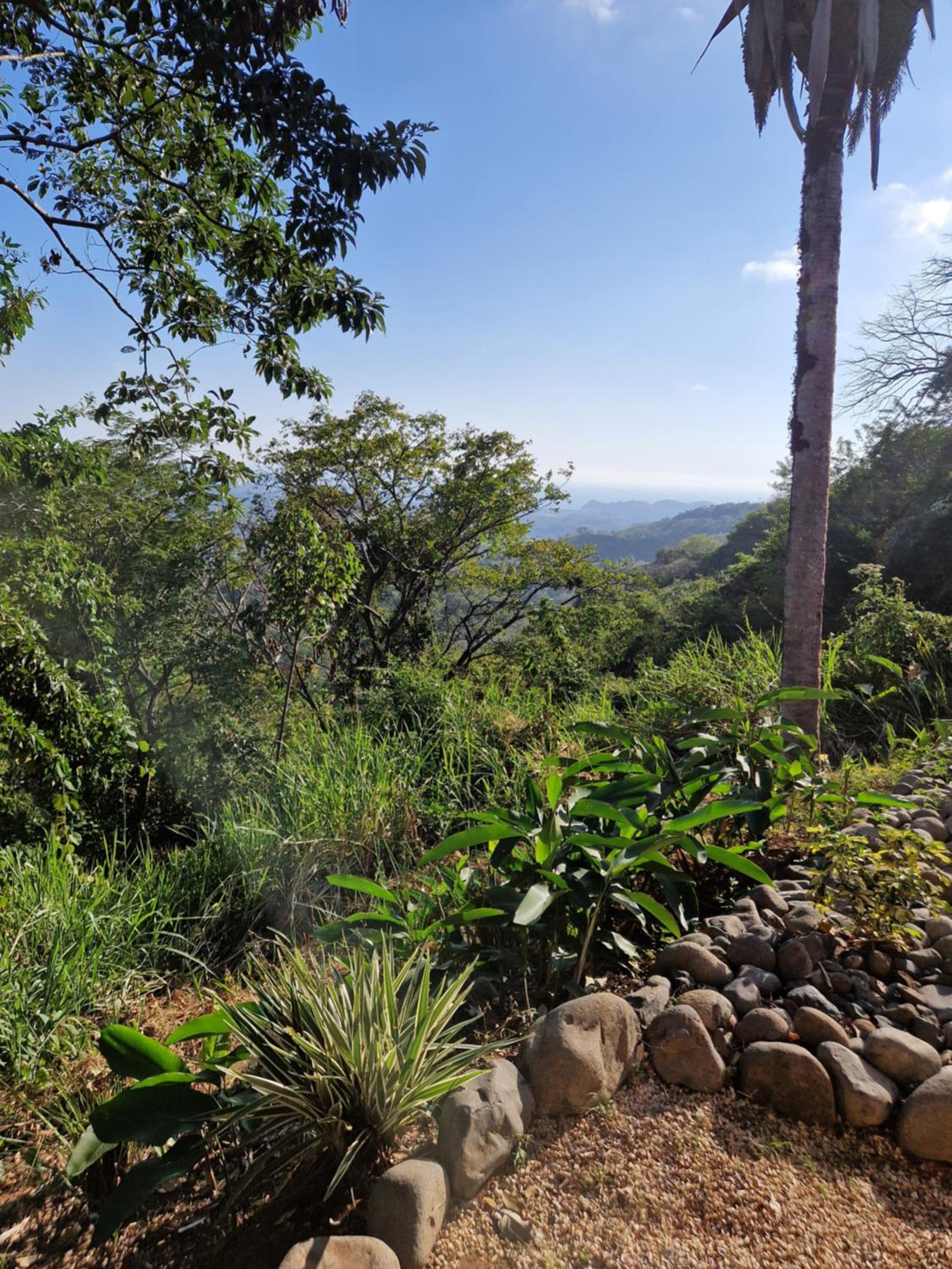 Vista Mar y Monos
