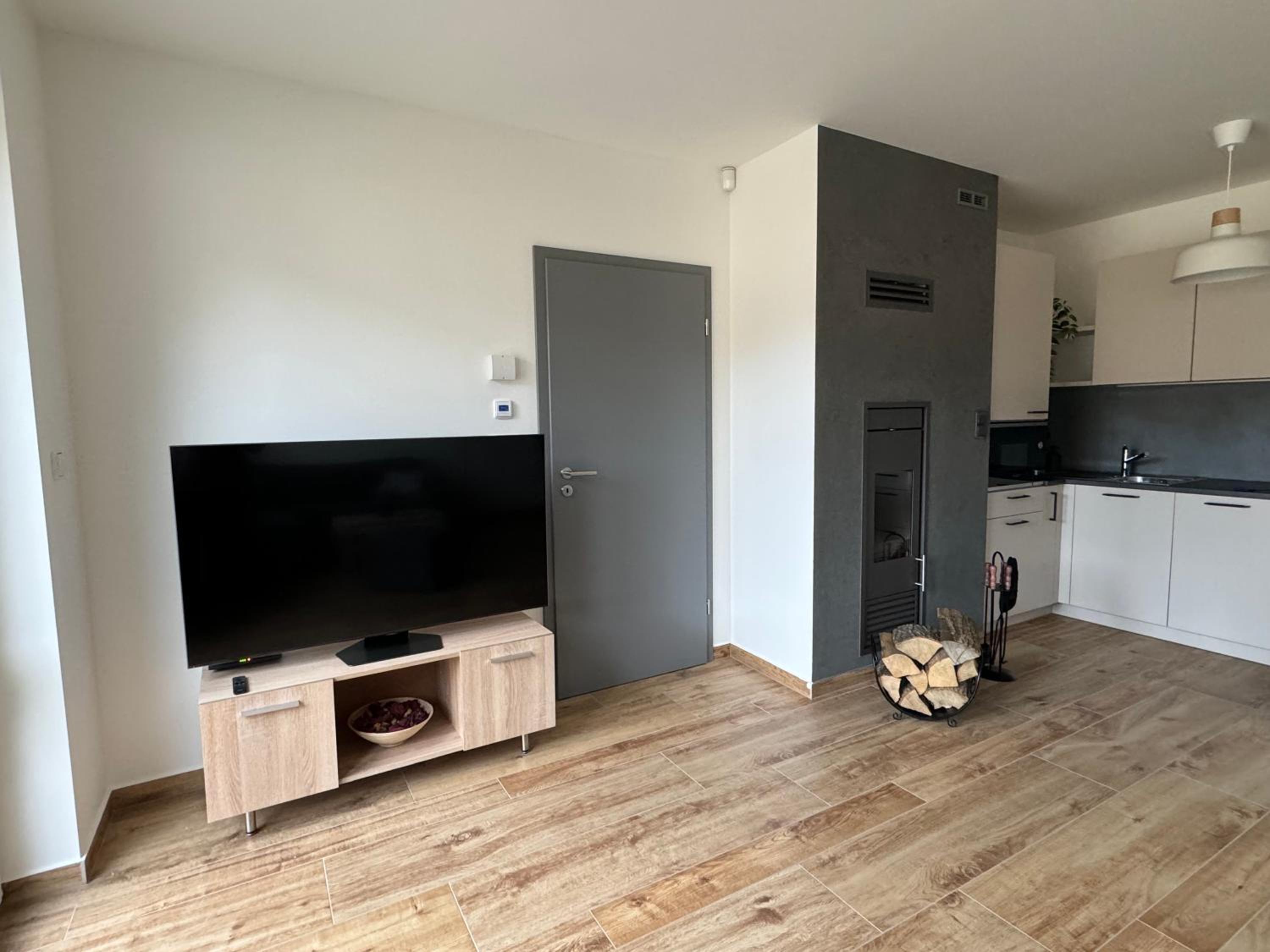Apartmán U lesa