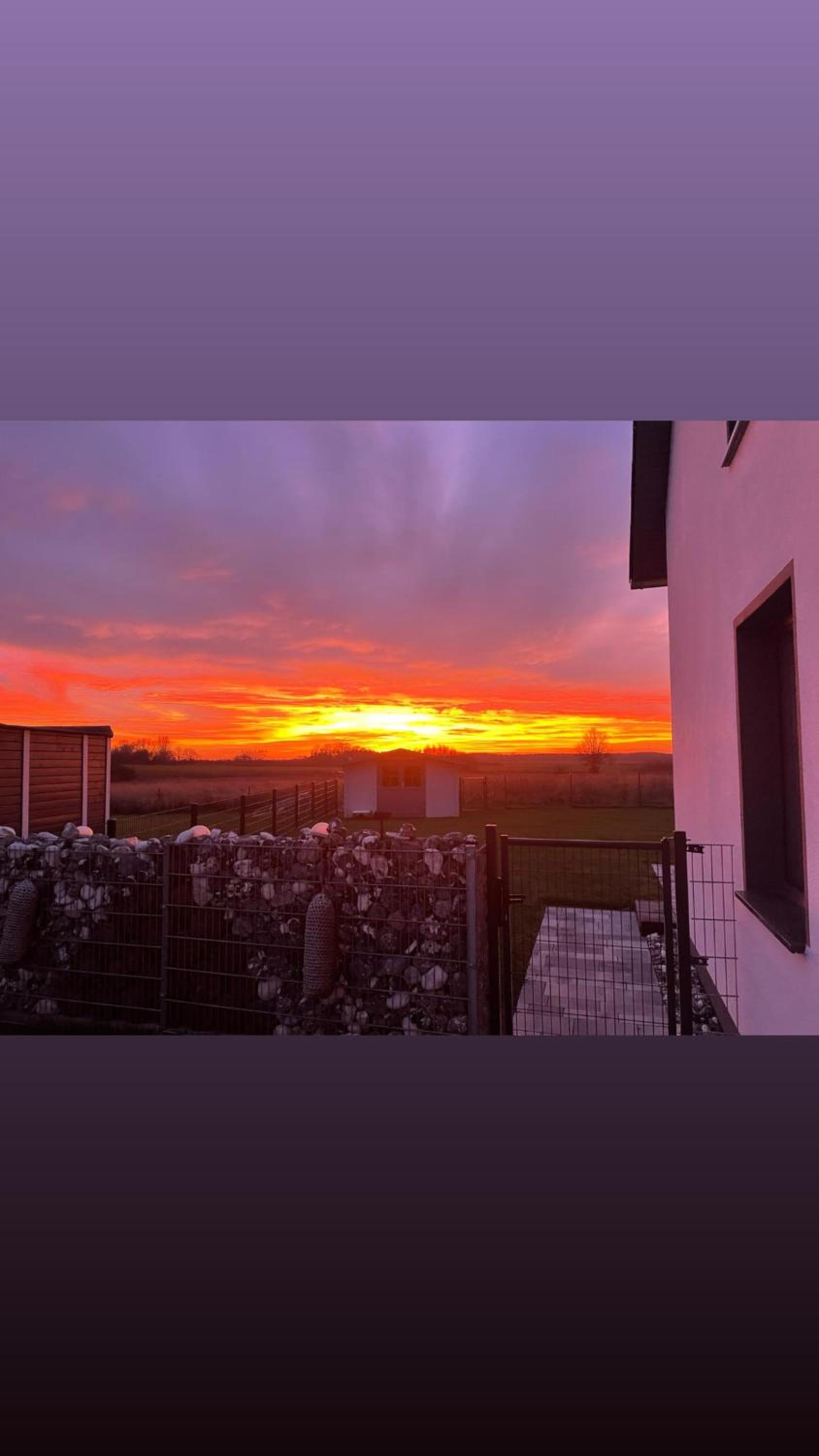 Kranichblick