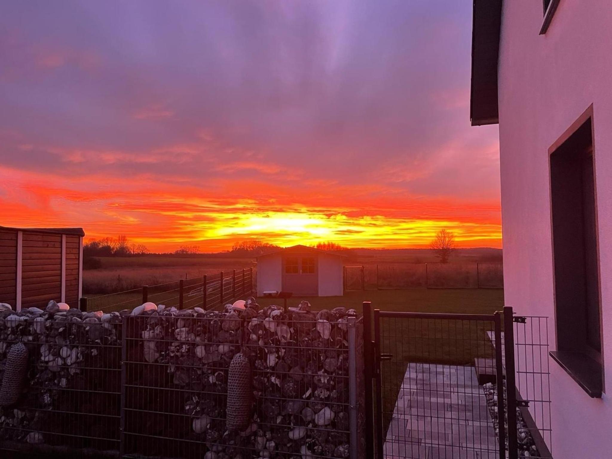 Kranichblick