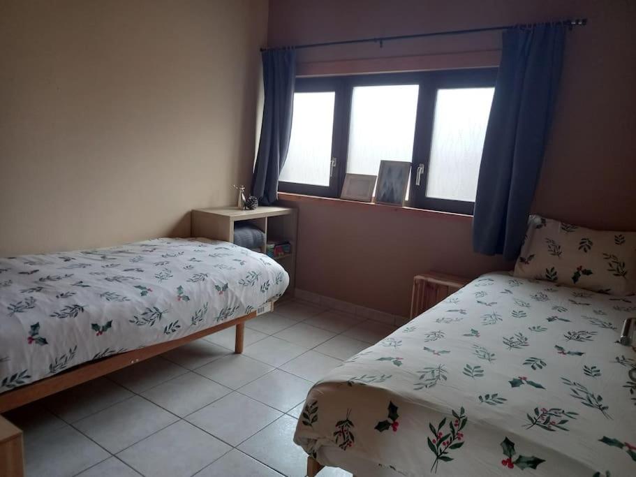 Chalet - l'Endoxyle