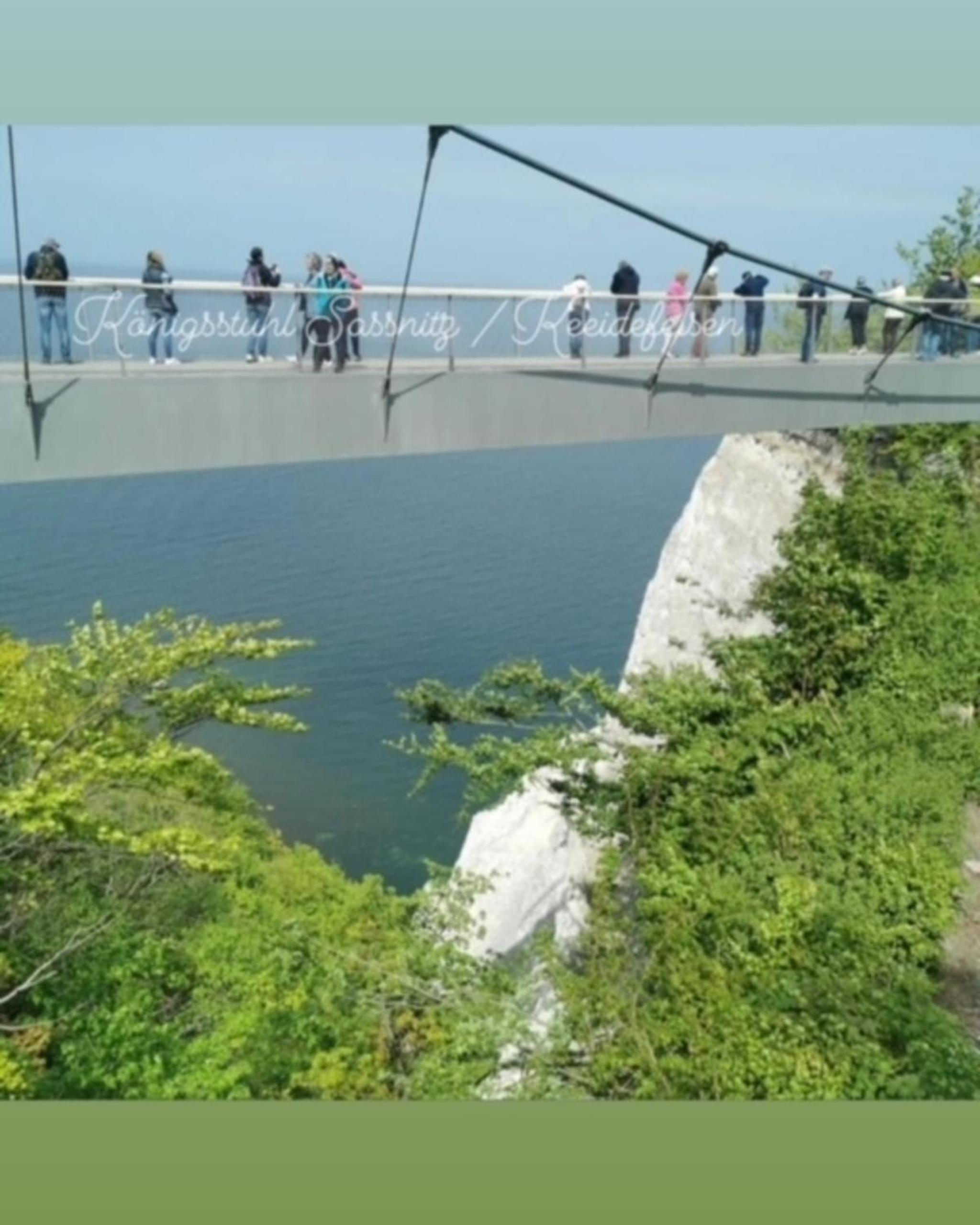 Kranichblick