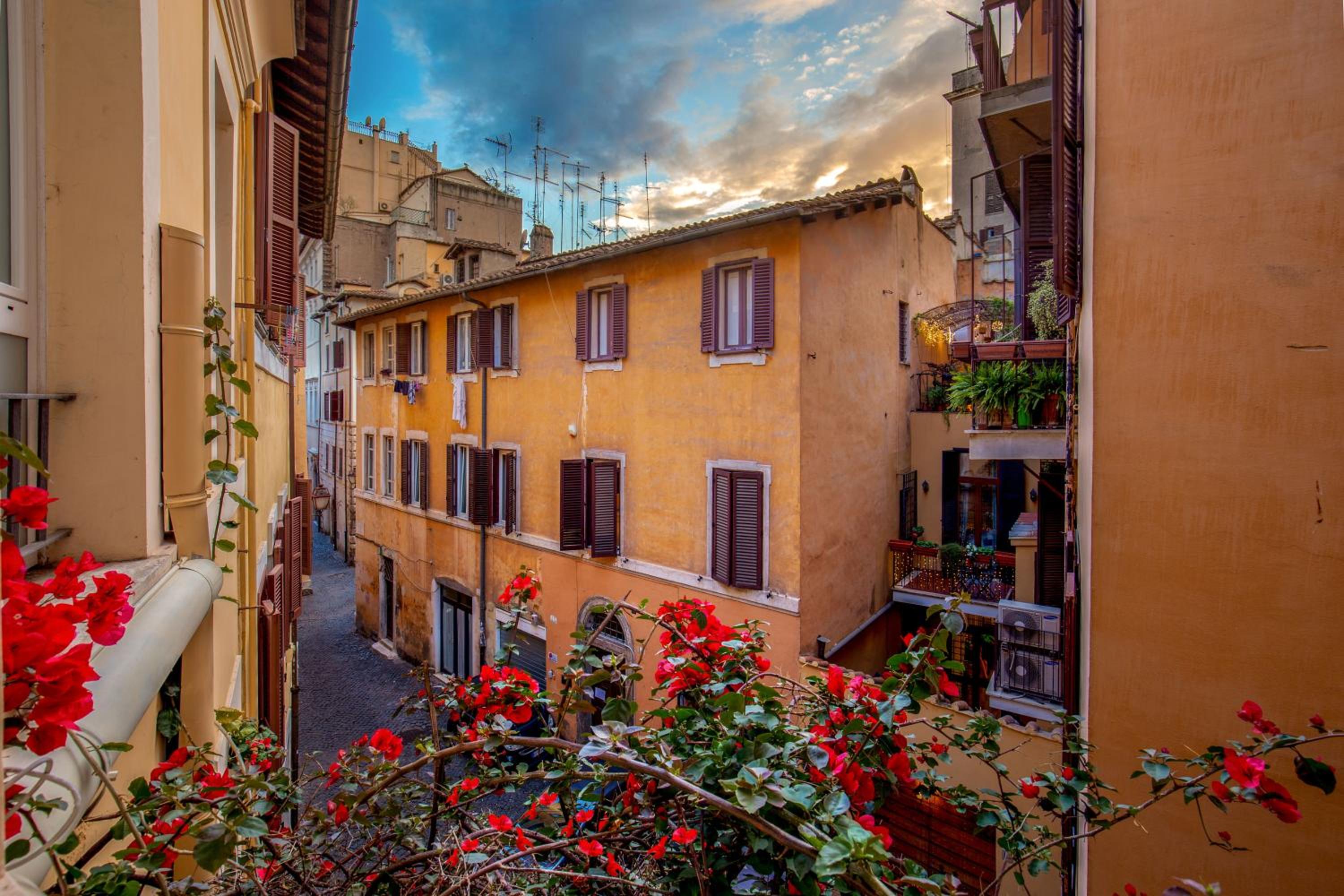 Bollo Apartments