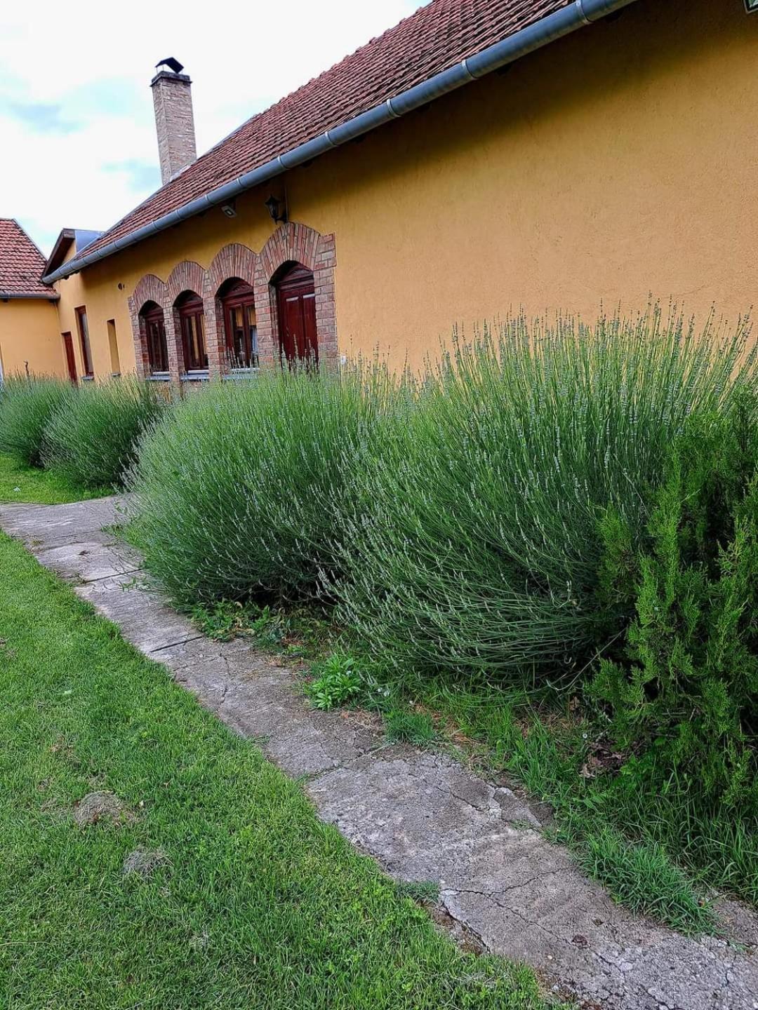 Photo 48
