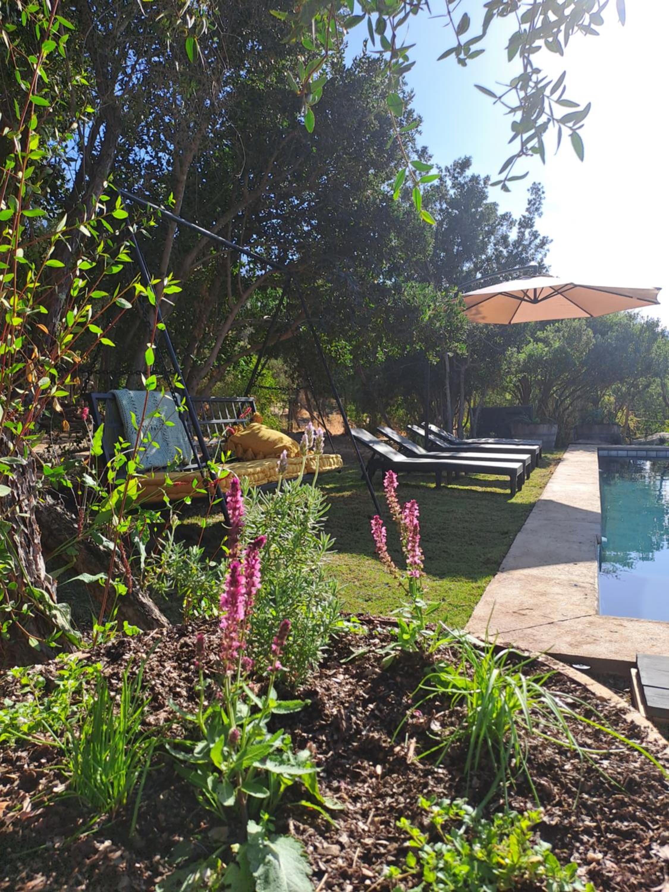 Wine Lodge de Viña Vultur en bosque nativo con piscina