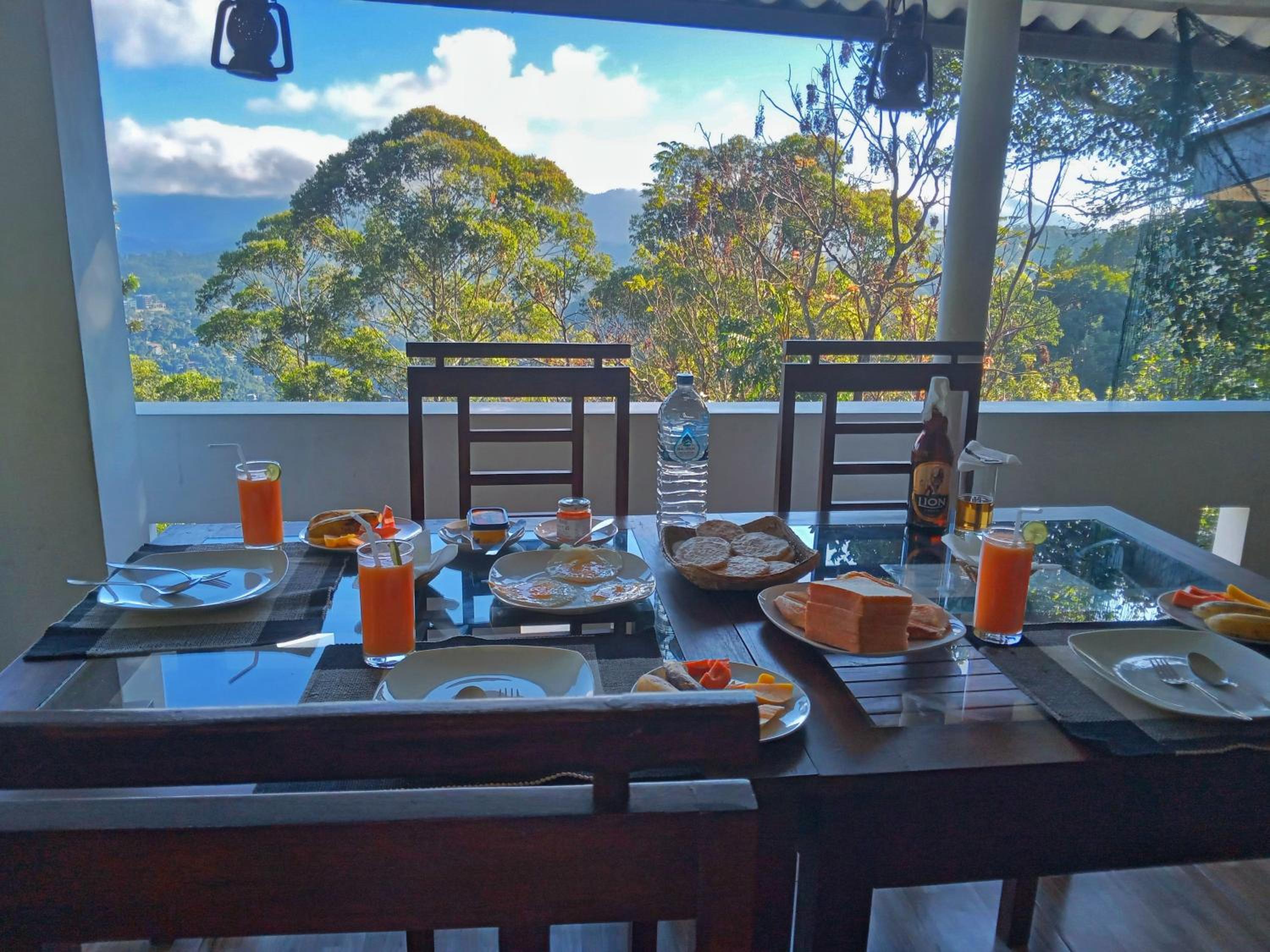 Pleasant View Ella view 3