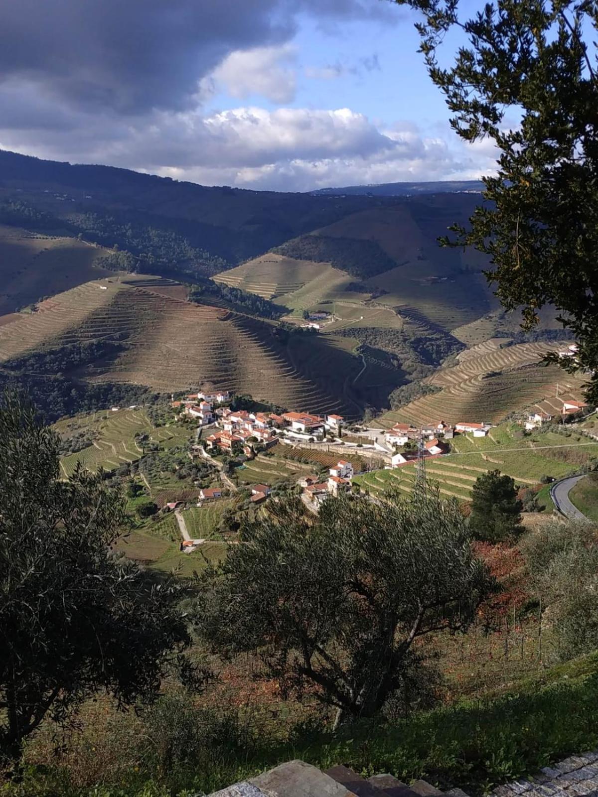 Quinta da Lua Villa Douro Valley