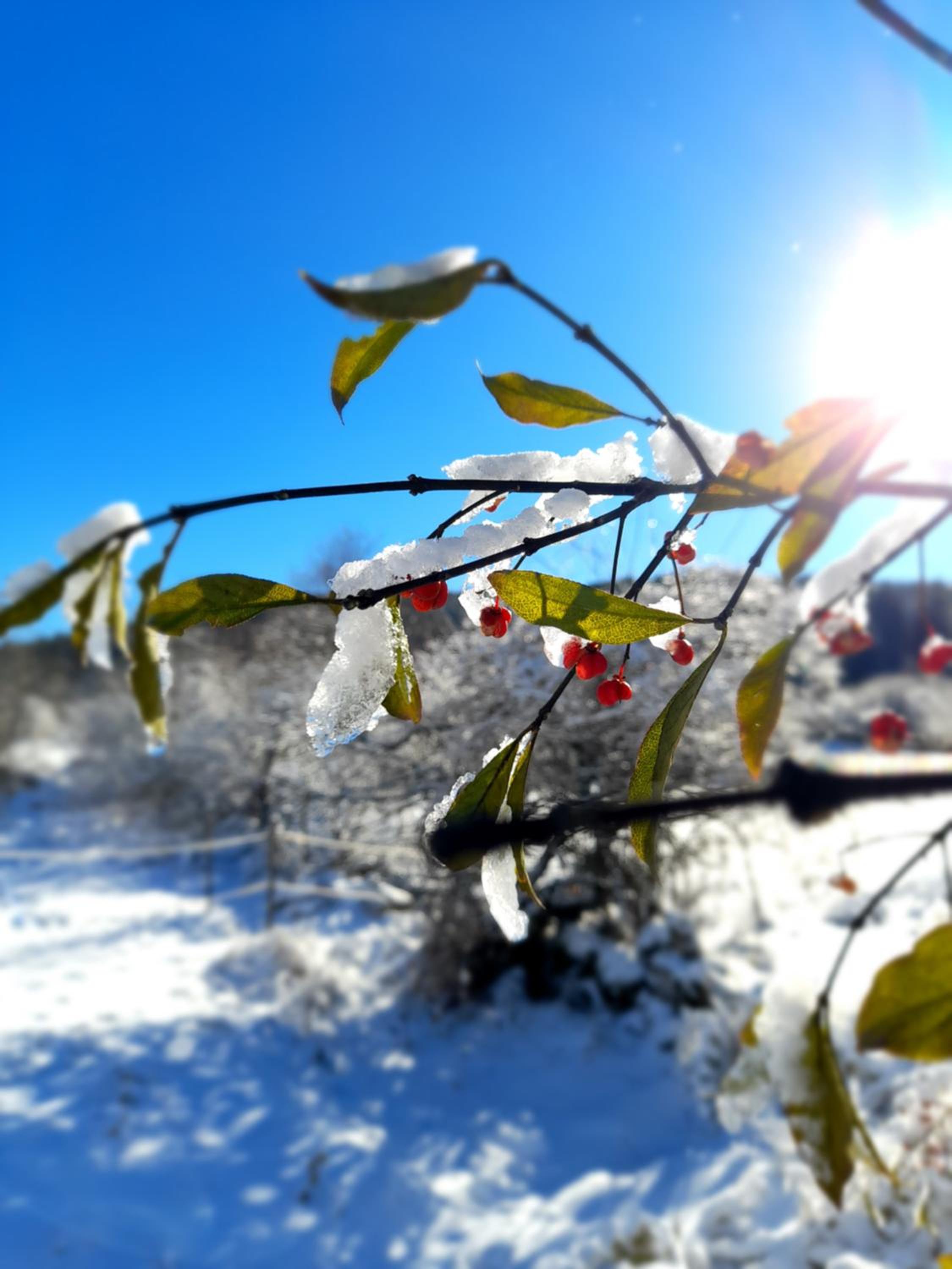 Stara hiža