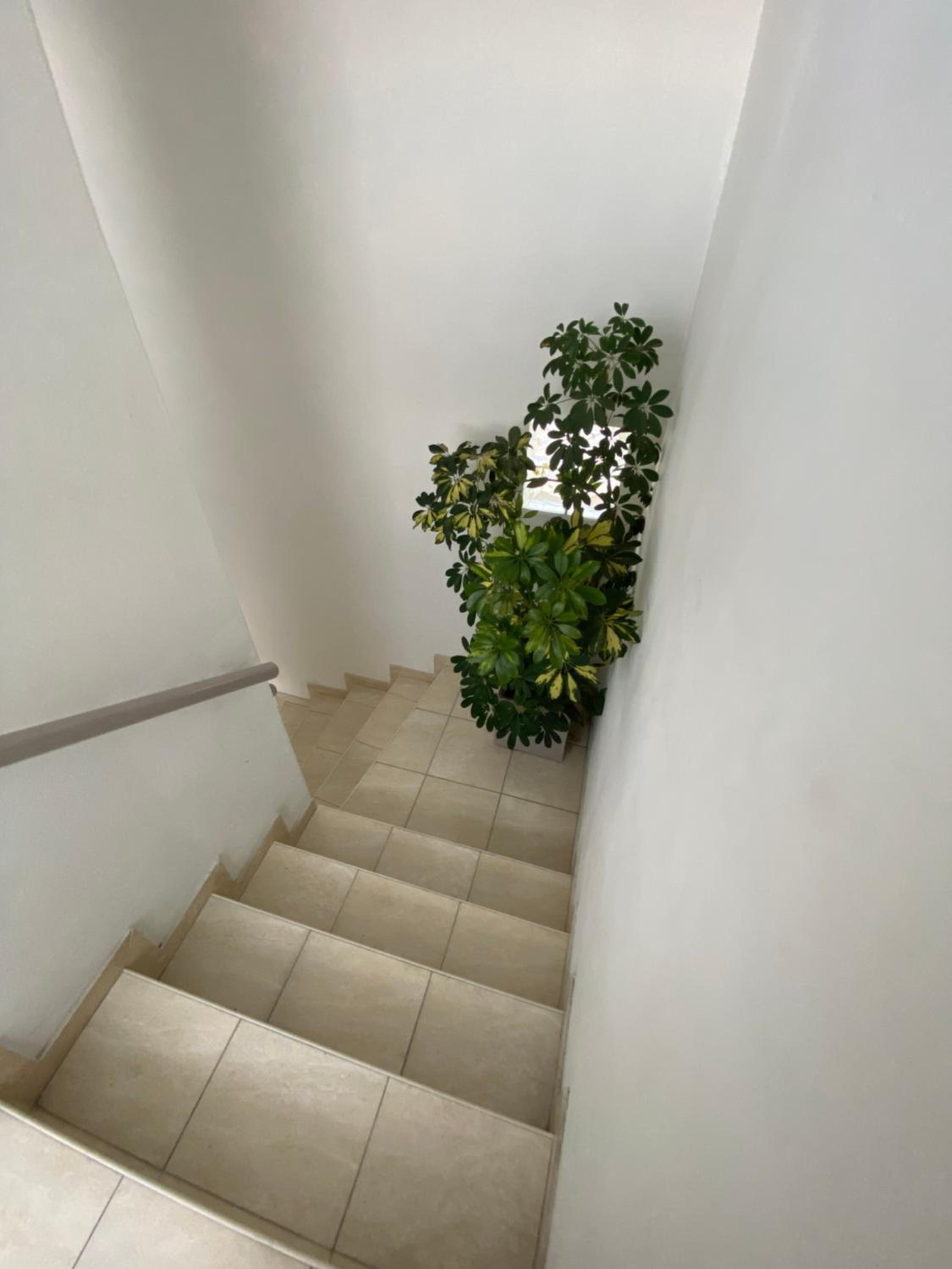 Edificio Farfalle -Cochera incuida