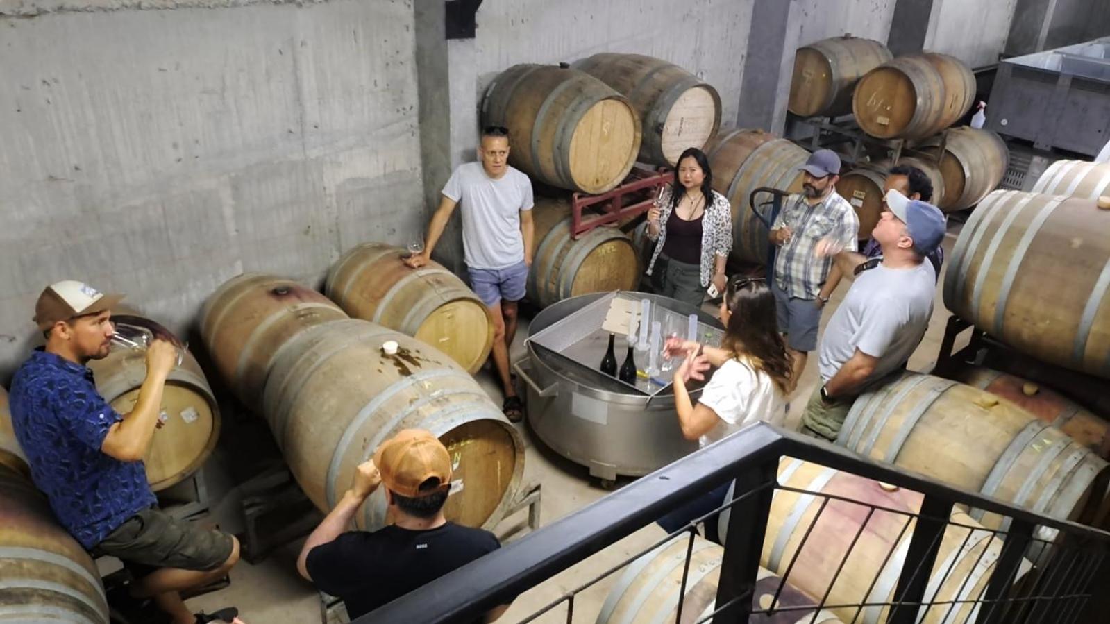 Wine Lodge de Viña Vultur en bosque nativo con piscina