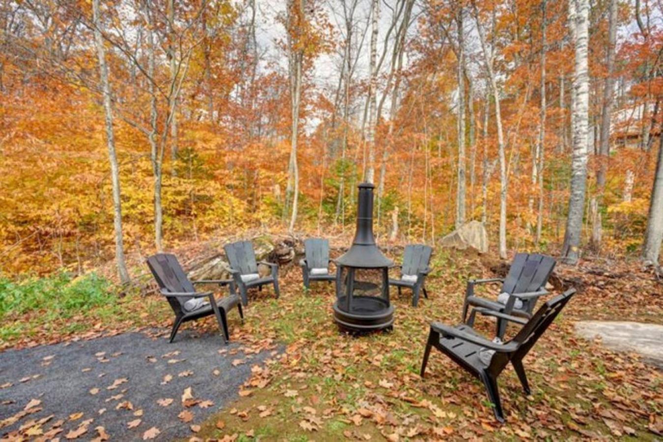 DIX8 SPA and surrounding forest