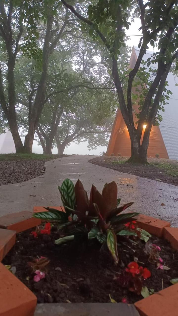 Cabanas Vida no Campo