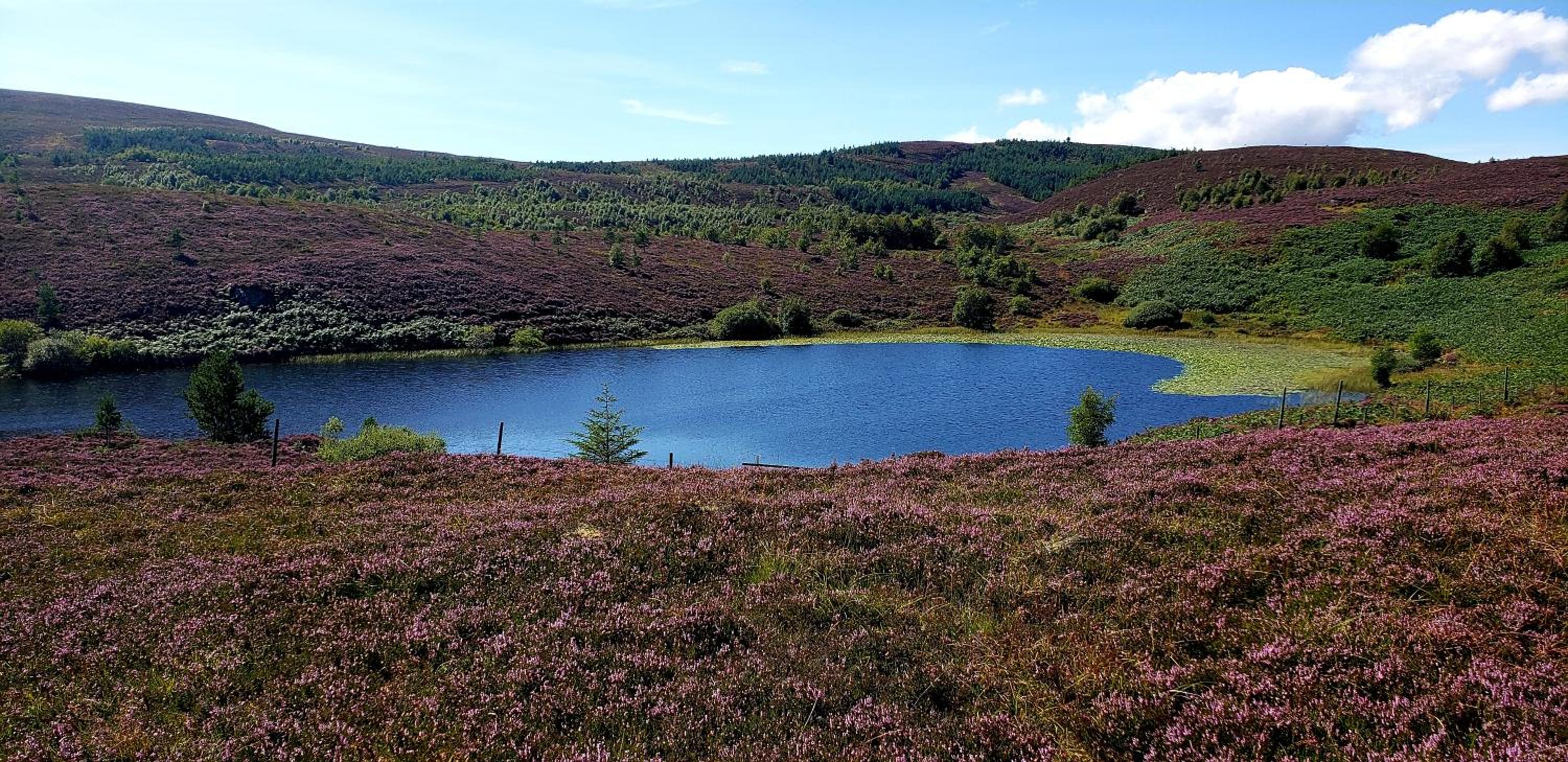Highland Glen Lodges