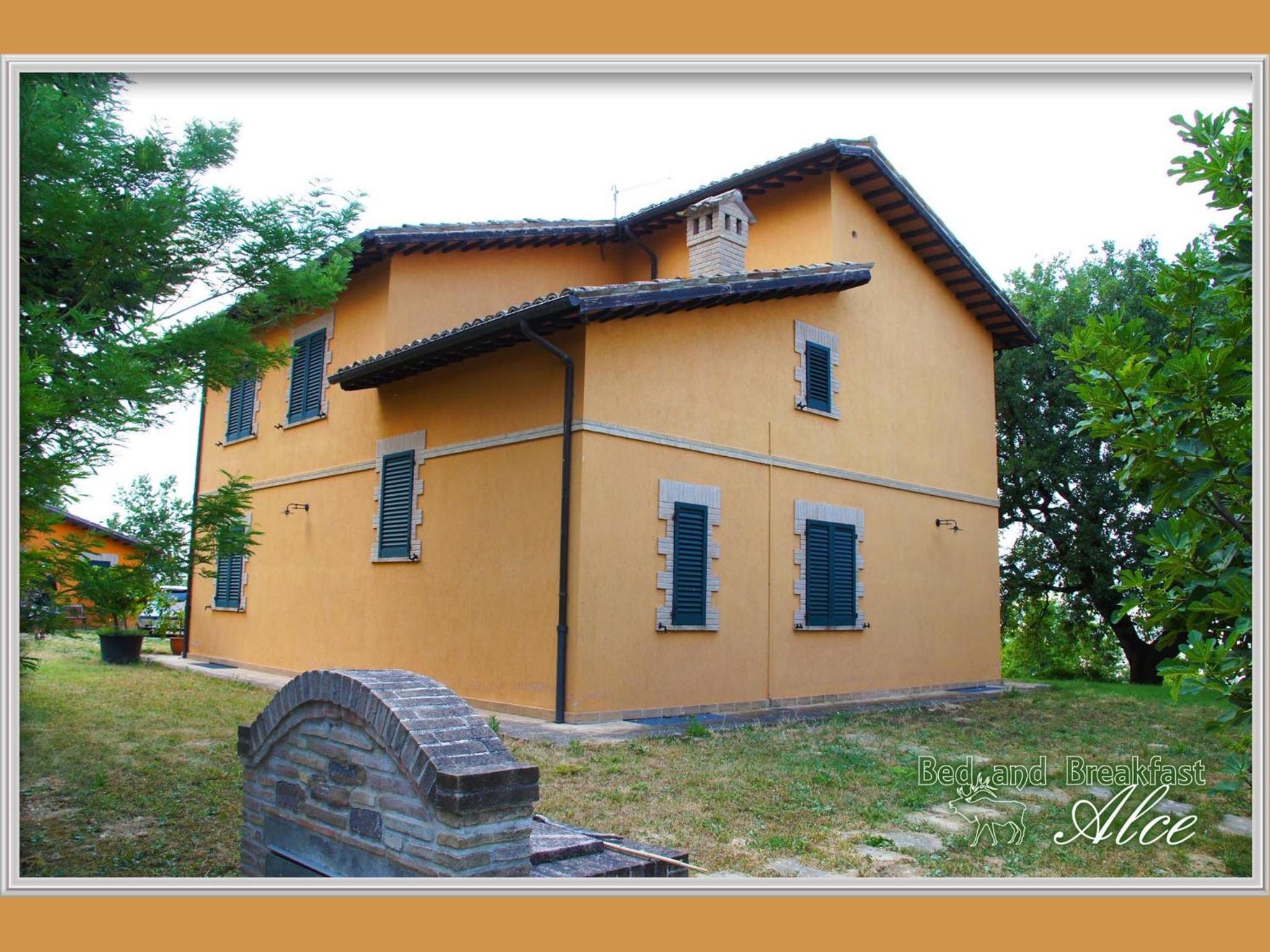 Photo 26