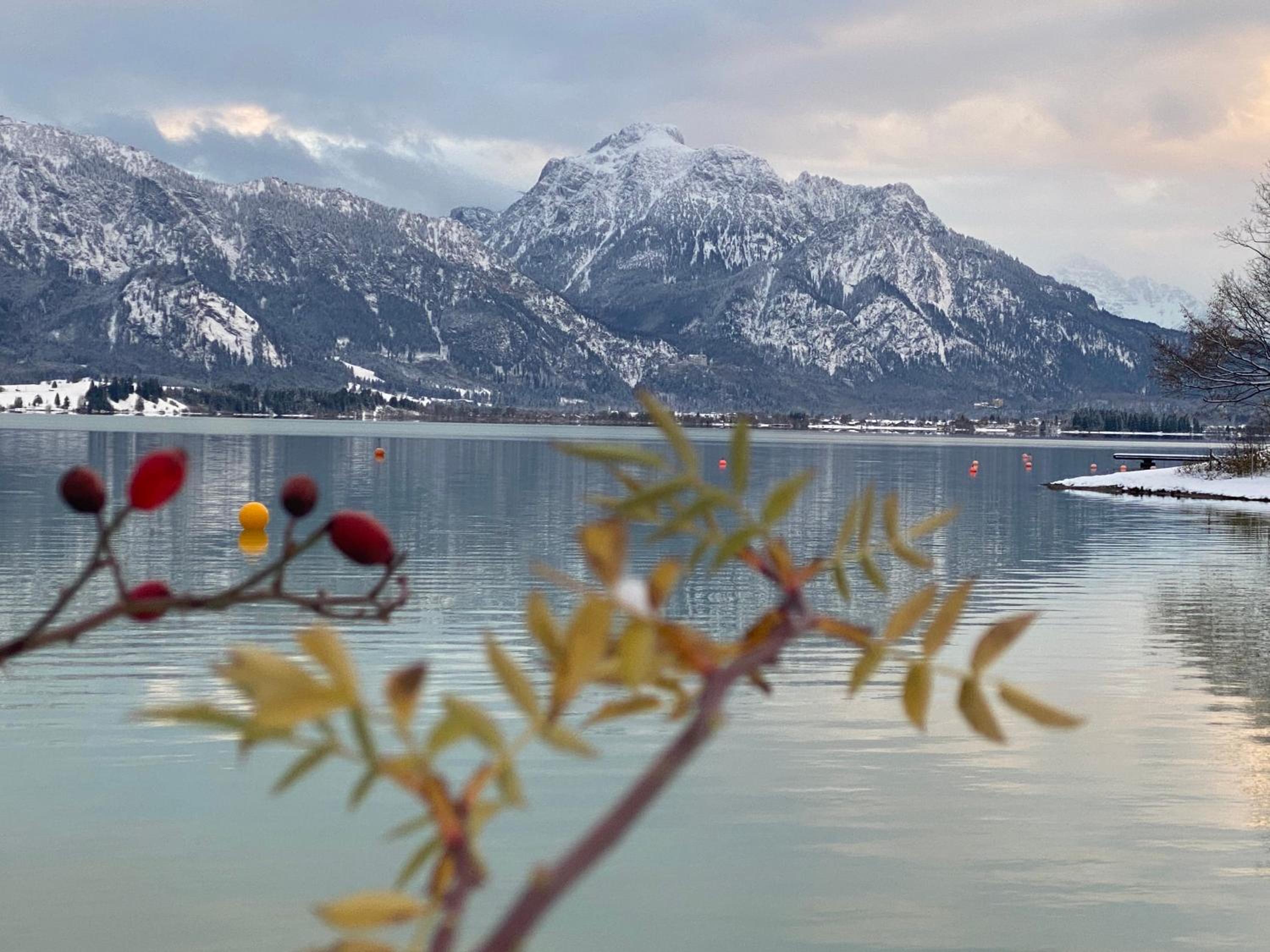 Villa Herzland Allgäu mit großem Garten und gemütlichem Kaminfeuer inklusive KÖNIGSCARD, Skipass, Bergbahn, Therme inkl