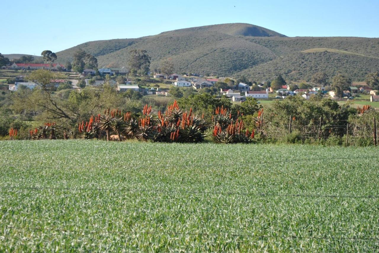 Photo 44