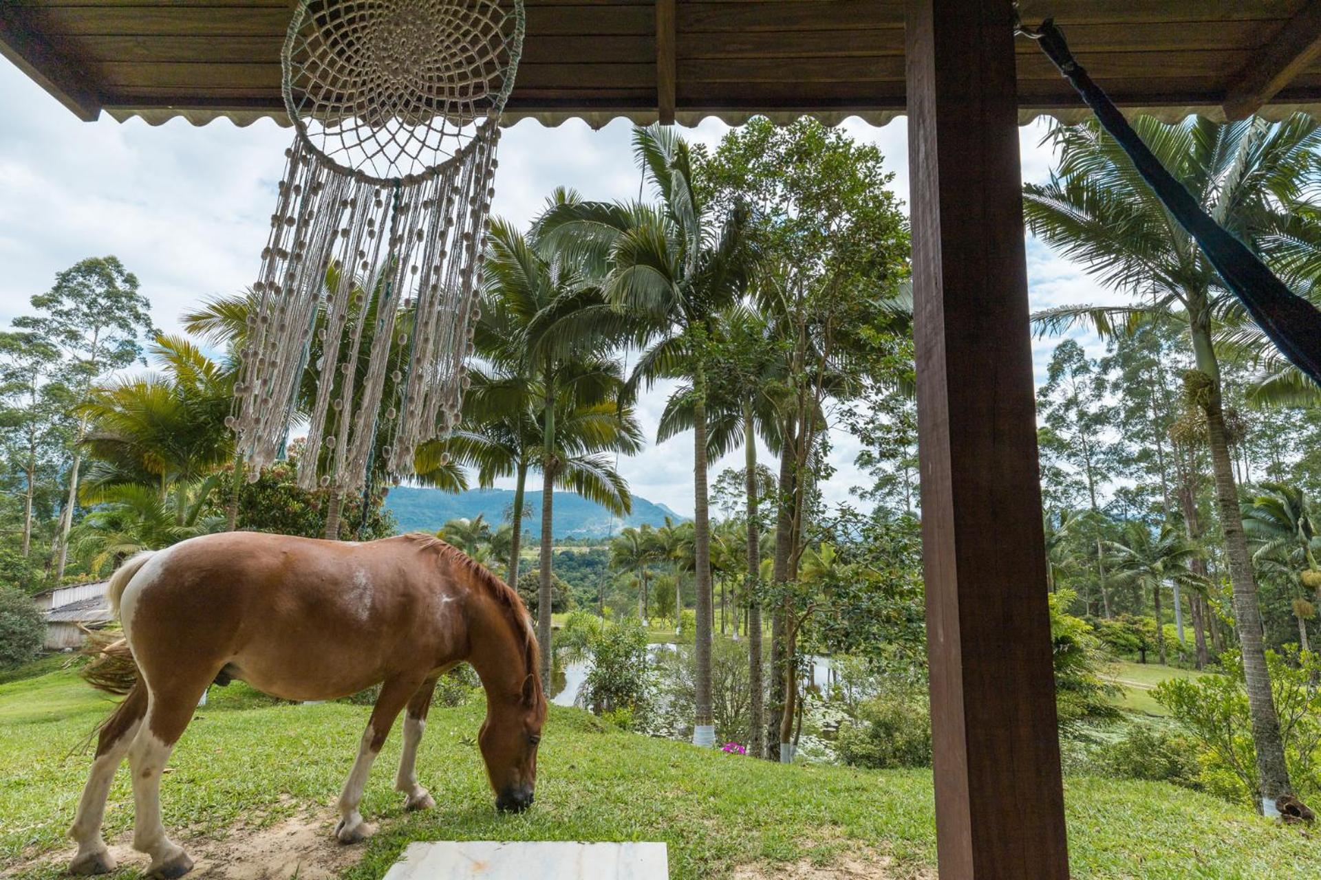Chalé com vista para o lago, Wi-Fi e Petfriendly