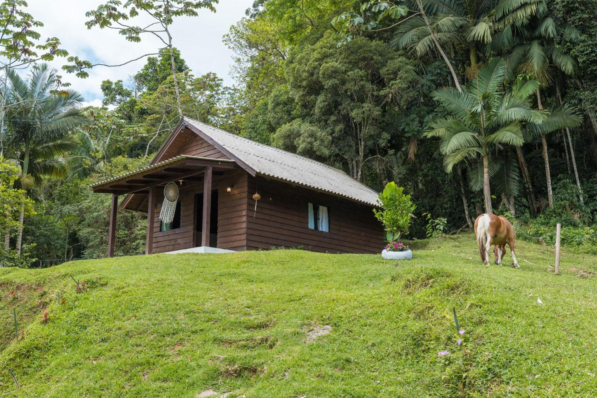 Chalé com vista para o lago, Wi-Fi e Petfriendly