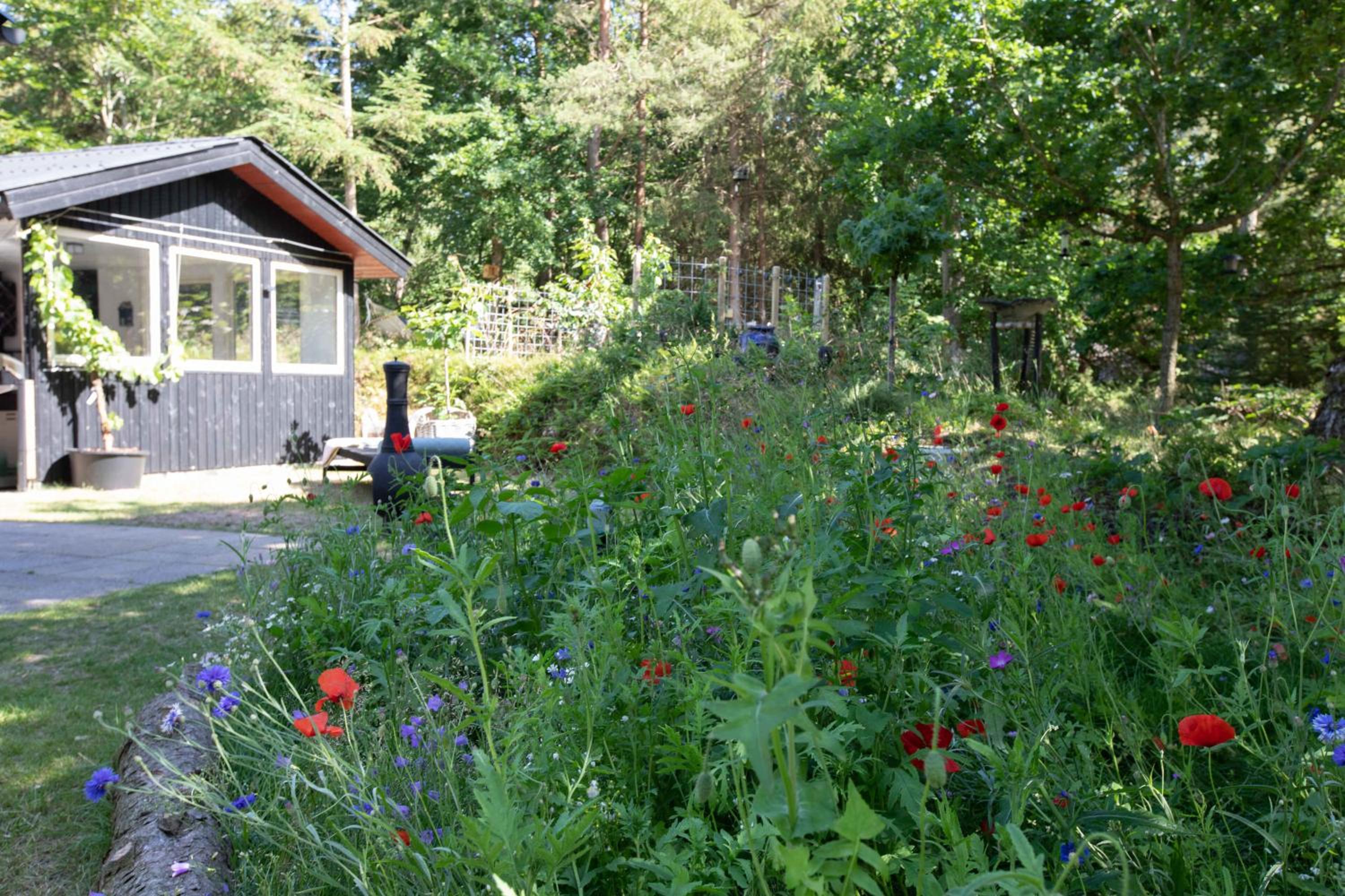 Cozy Summerhouse In An Incredibly Scenic Location