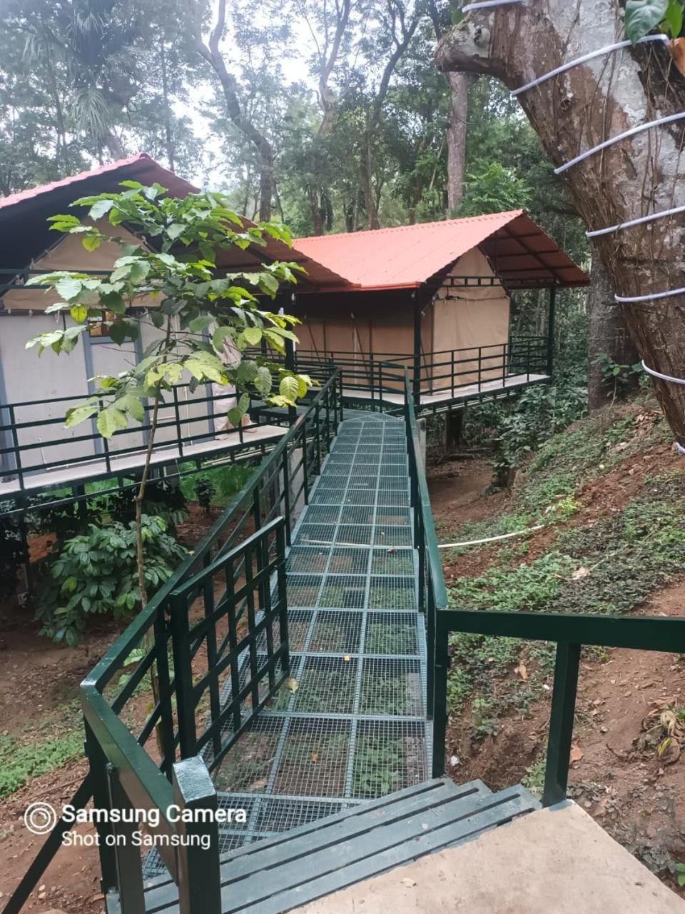 Devi Villa - Plantation Retreat and Forest Getaway view 4