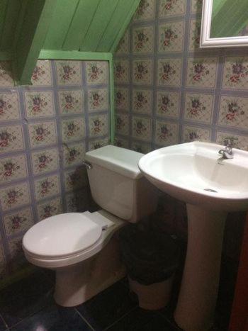 Arriendo casa Pucón