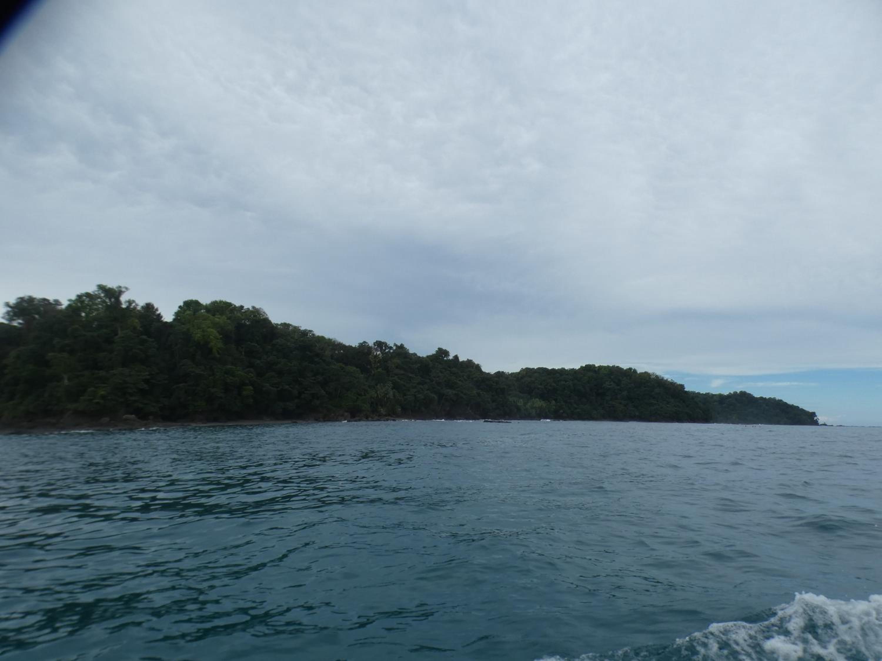 Cabinas vista isla del caño corcovado