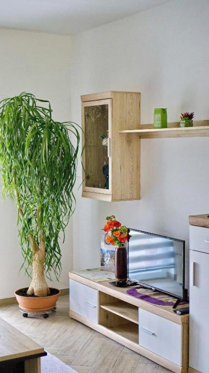 APARTMAN PRAVICA 2