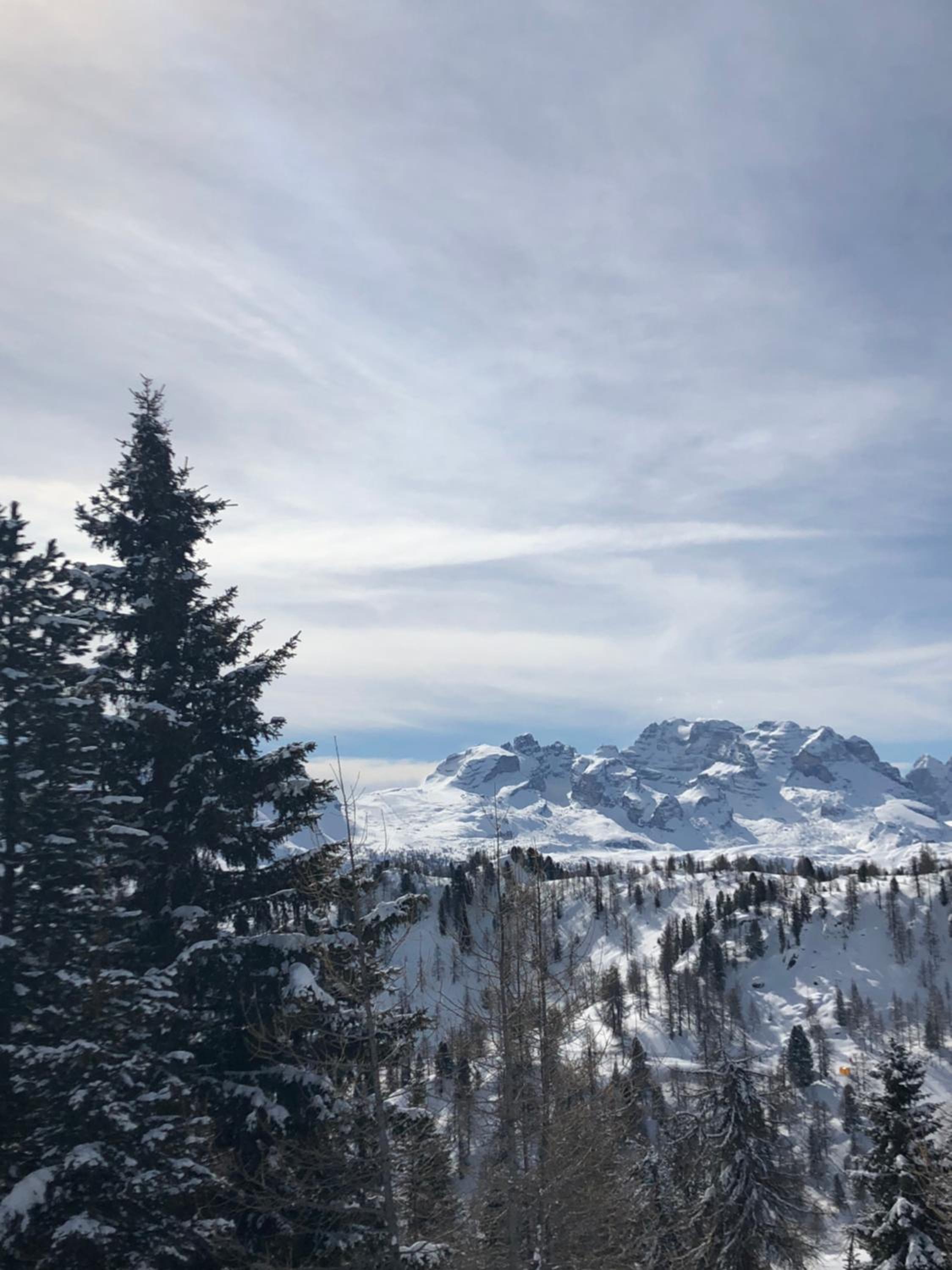 Photo 76