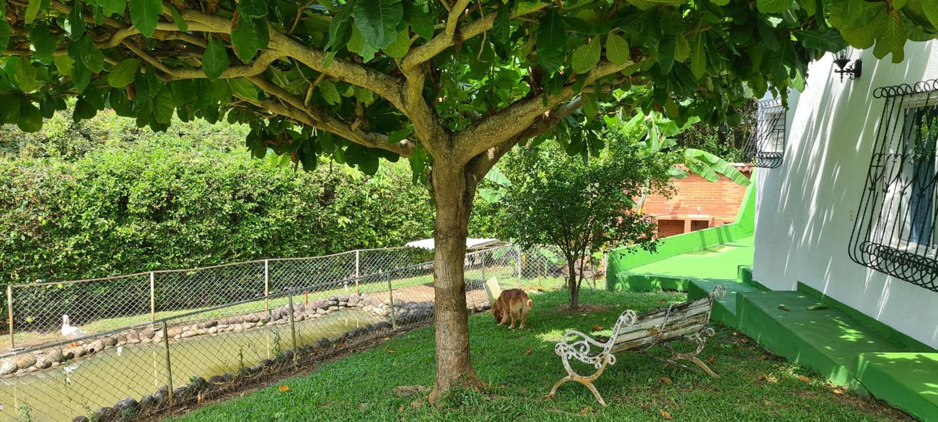 Casa Quinta Melgar