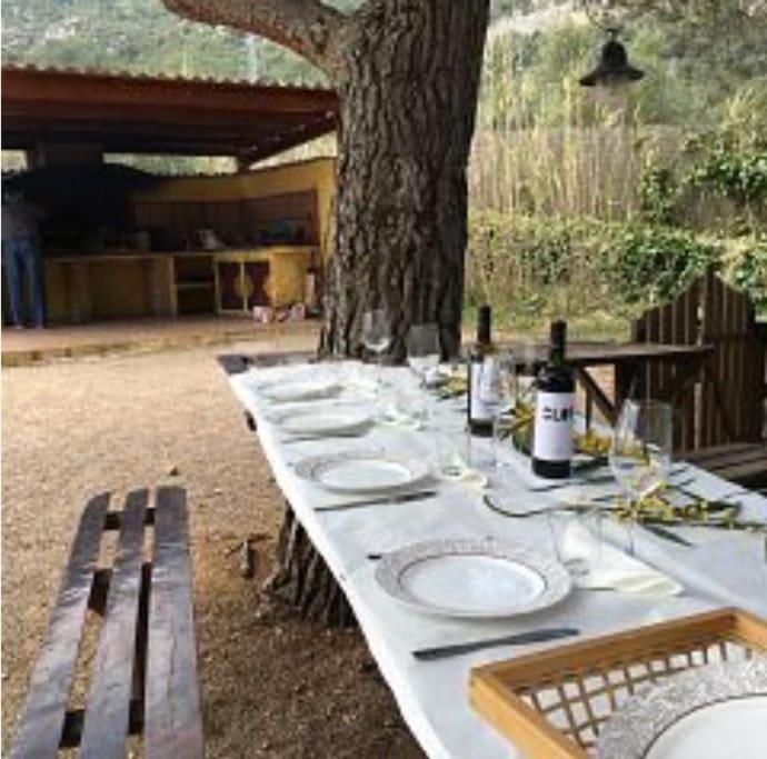 dining