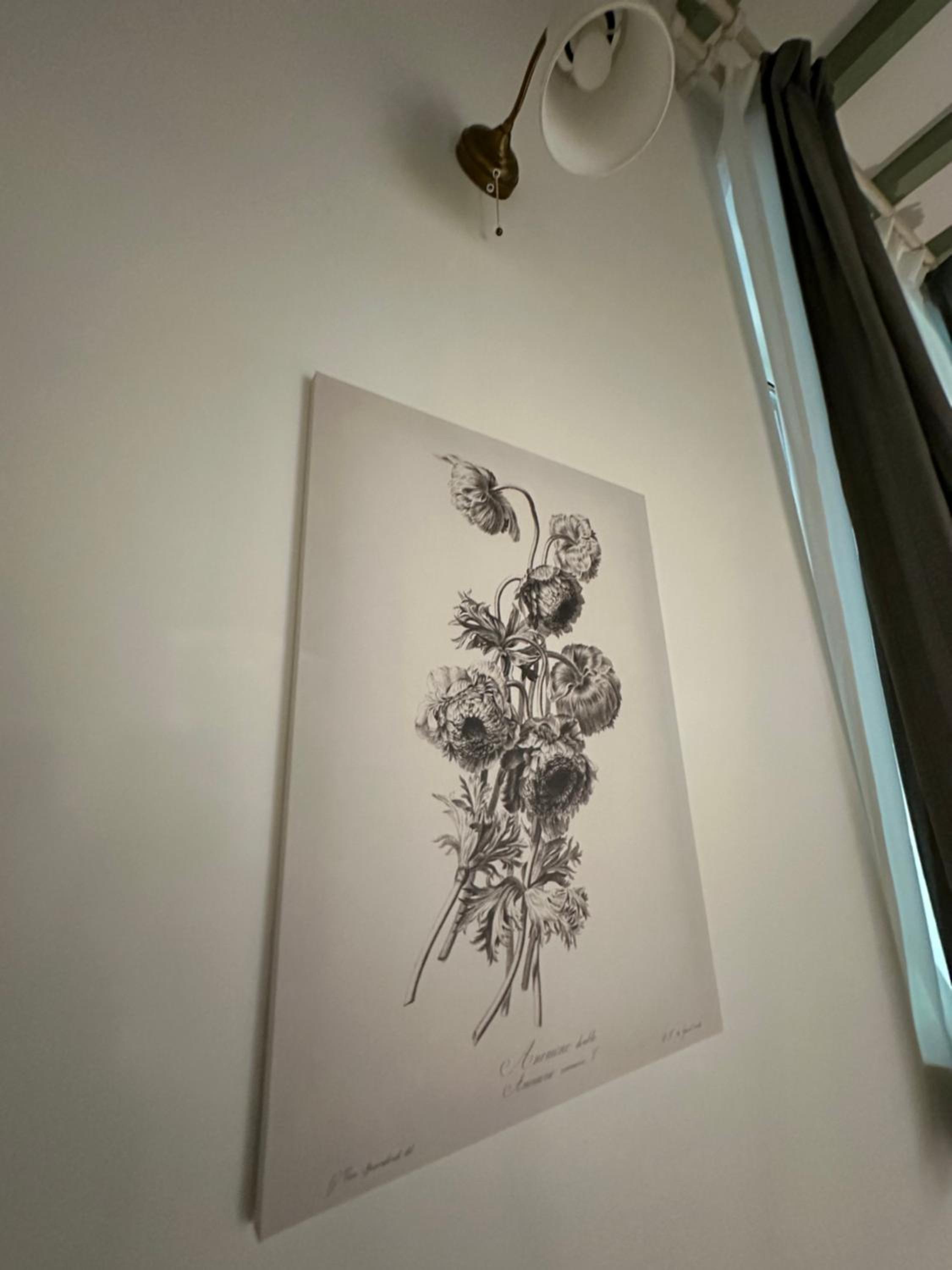 Flowers, a cozy suite in Milan