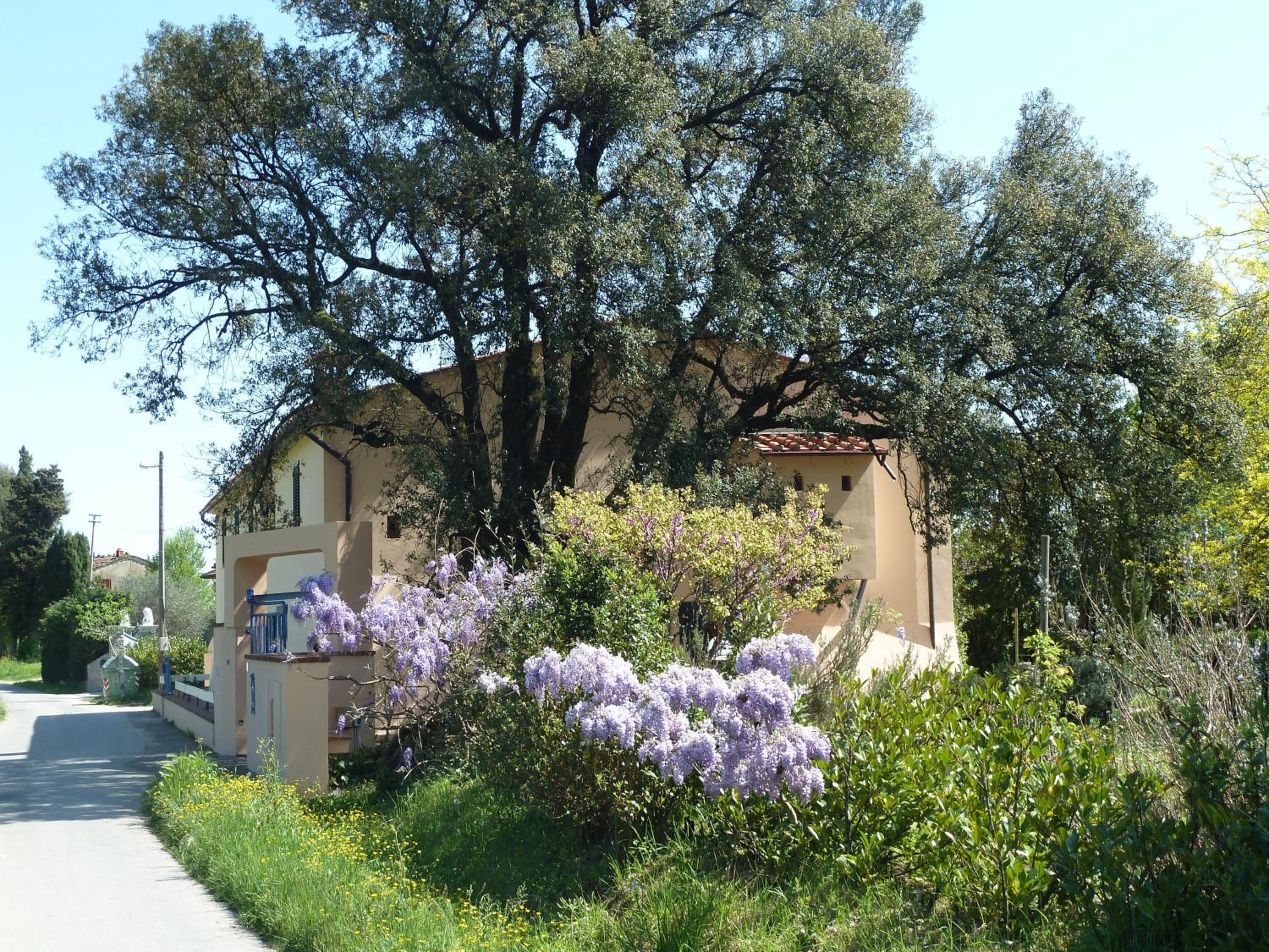 Photo 6