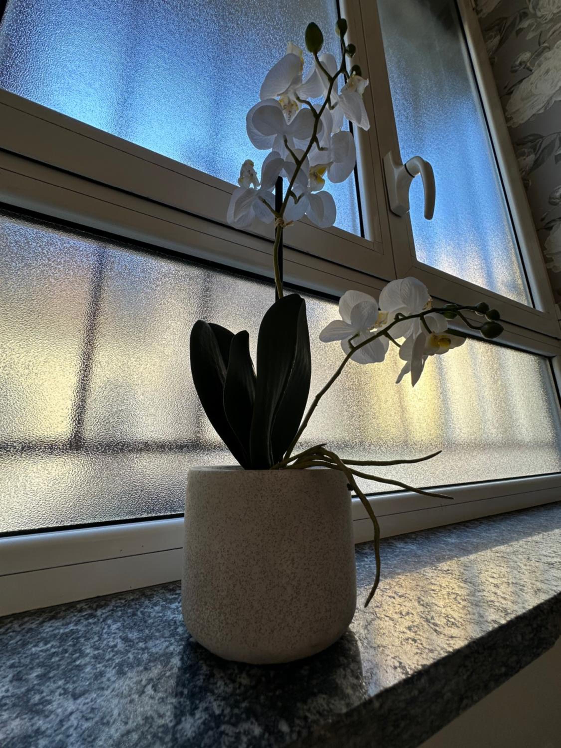 Flowers, a cozy suite in Milan