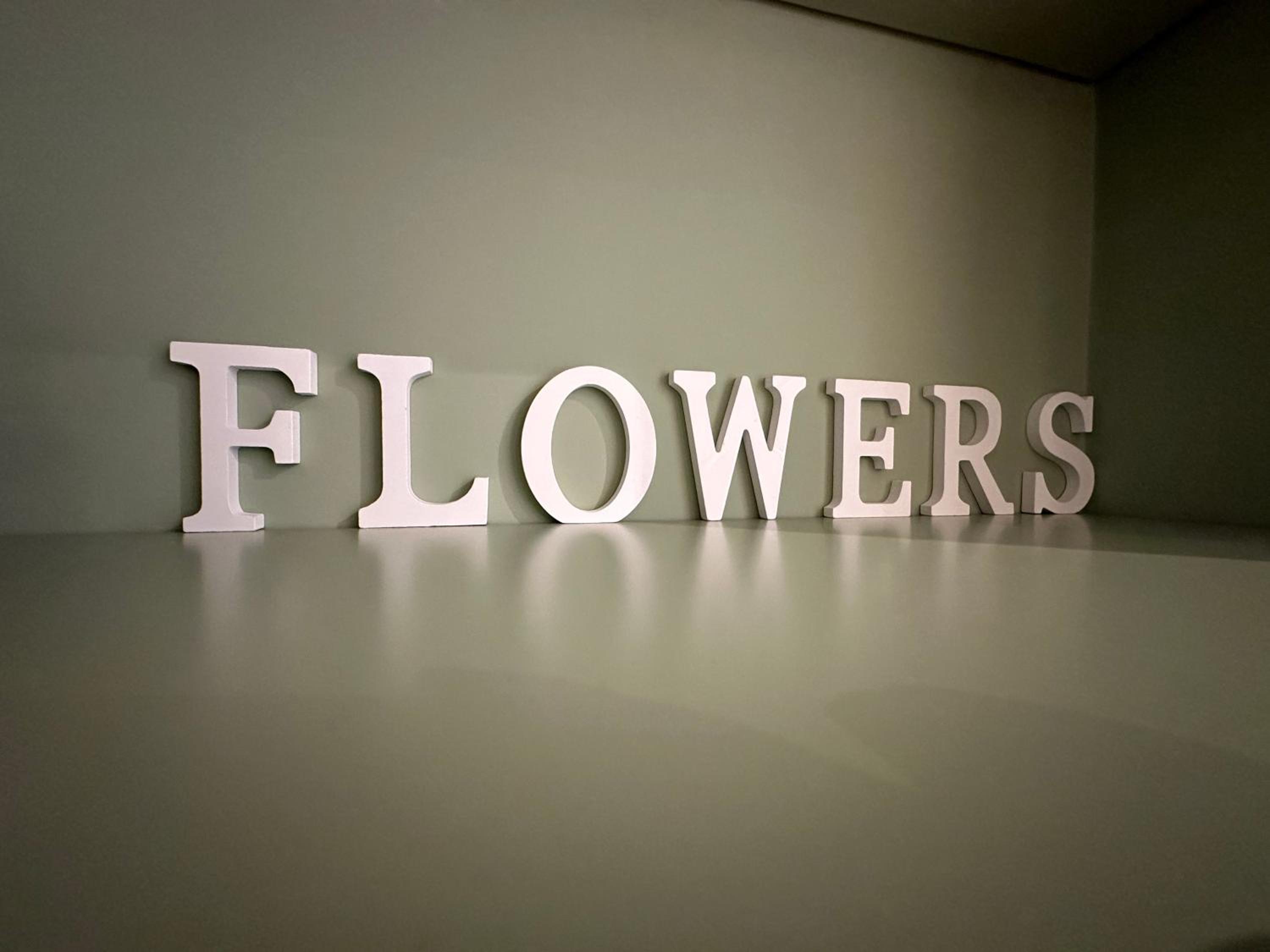 Flowers, a cozy suite in Milan