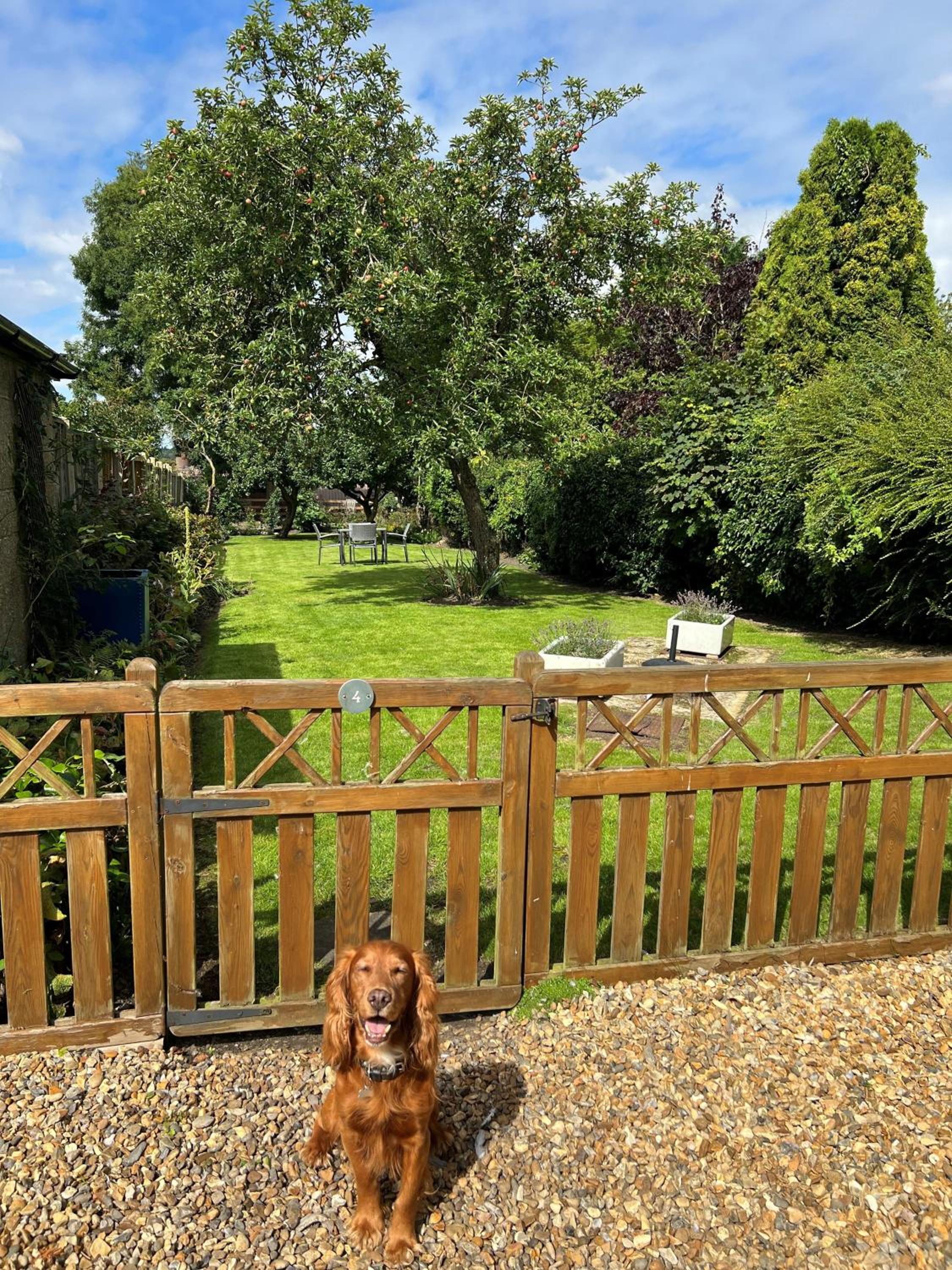 4 Church Cottages by Big Skies Cottages view 3