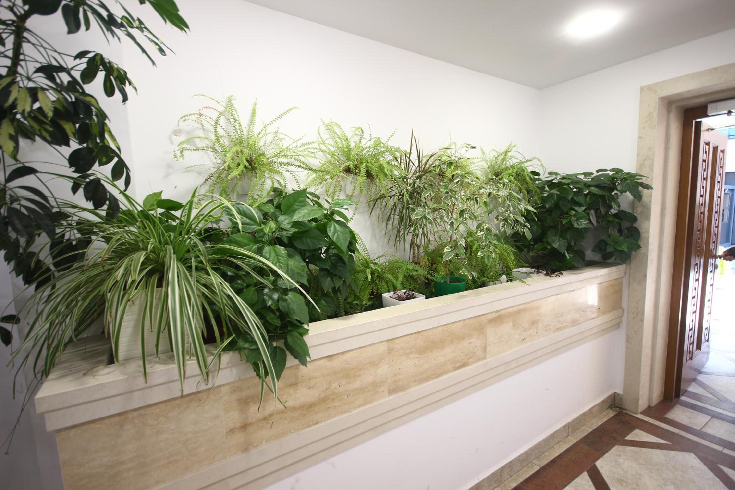 SOFIA CENTRAL LUXURY apartment 
