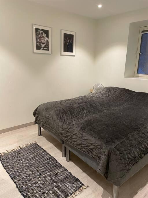Modern countryside apartment