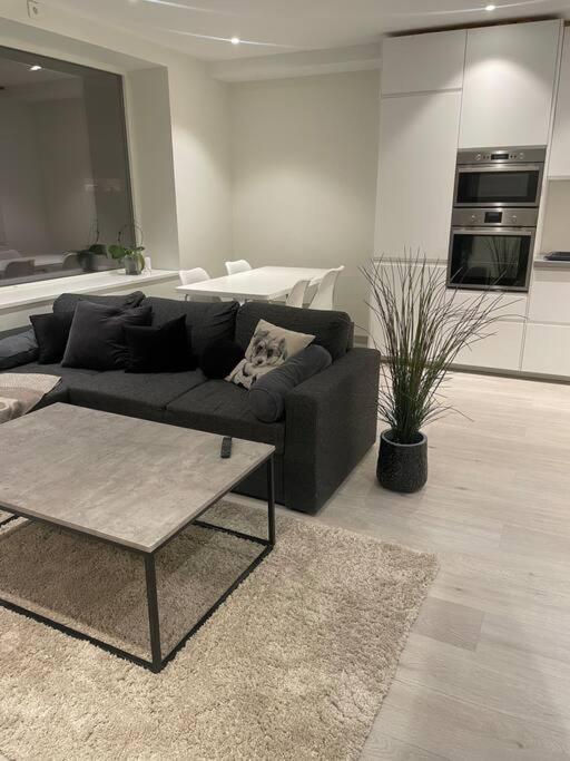 Modern countryside apartment